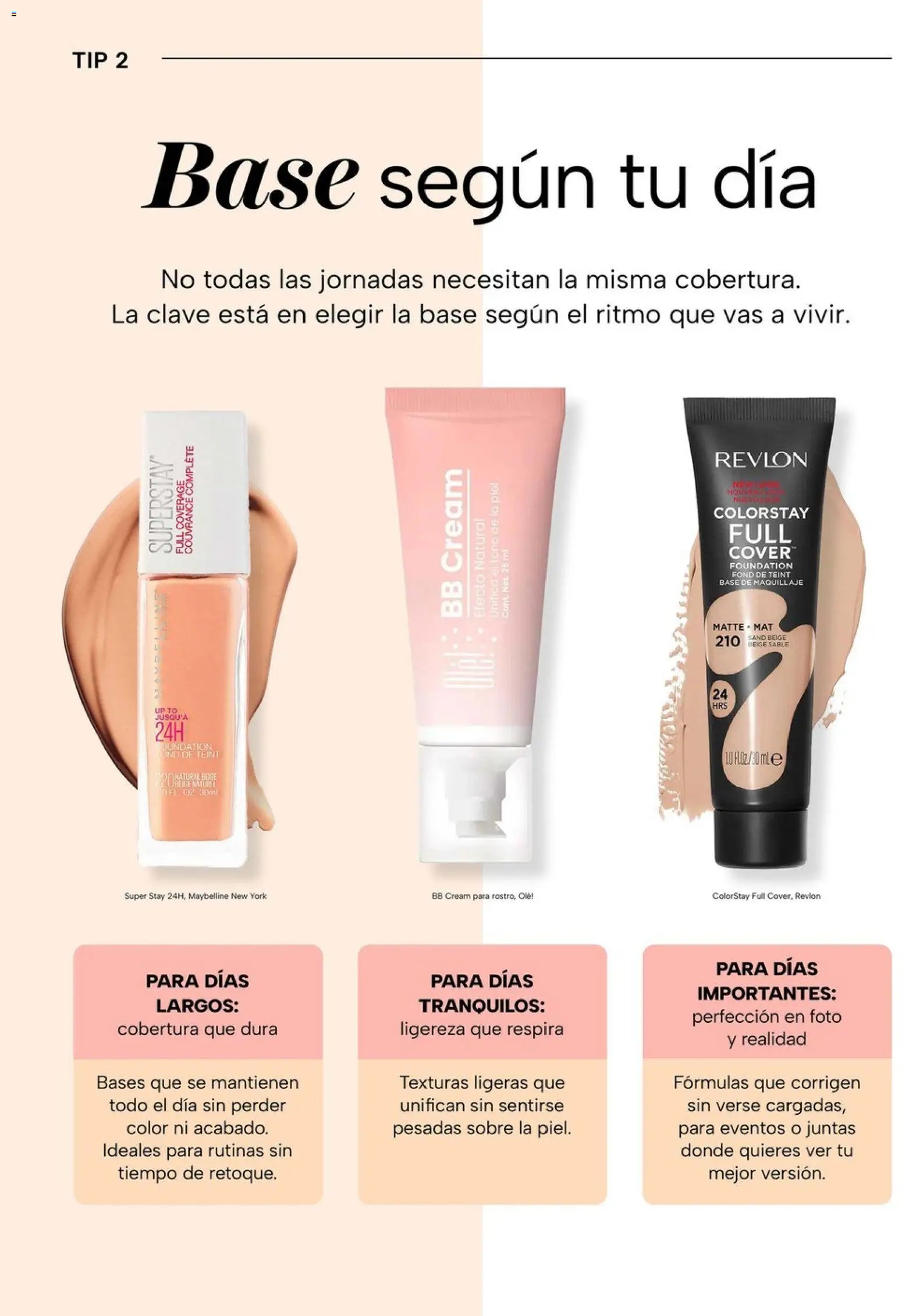 Chedraui folleto