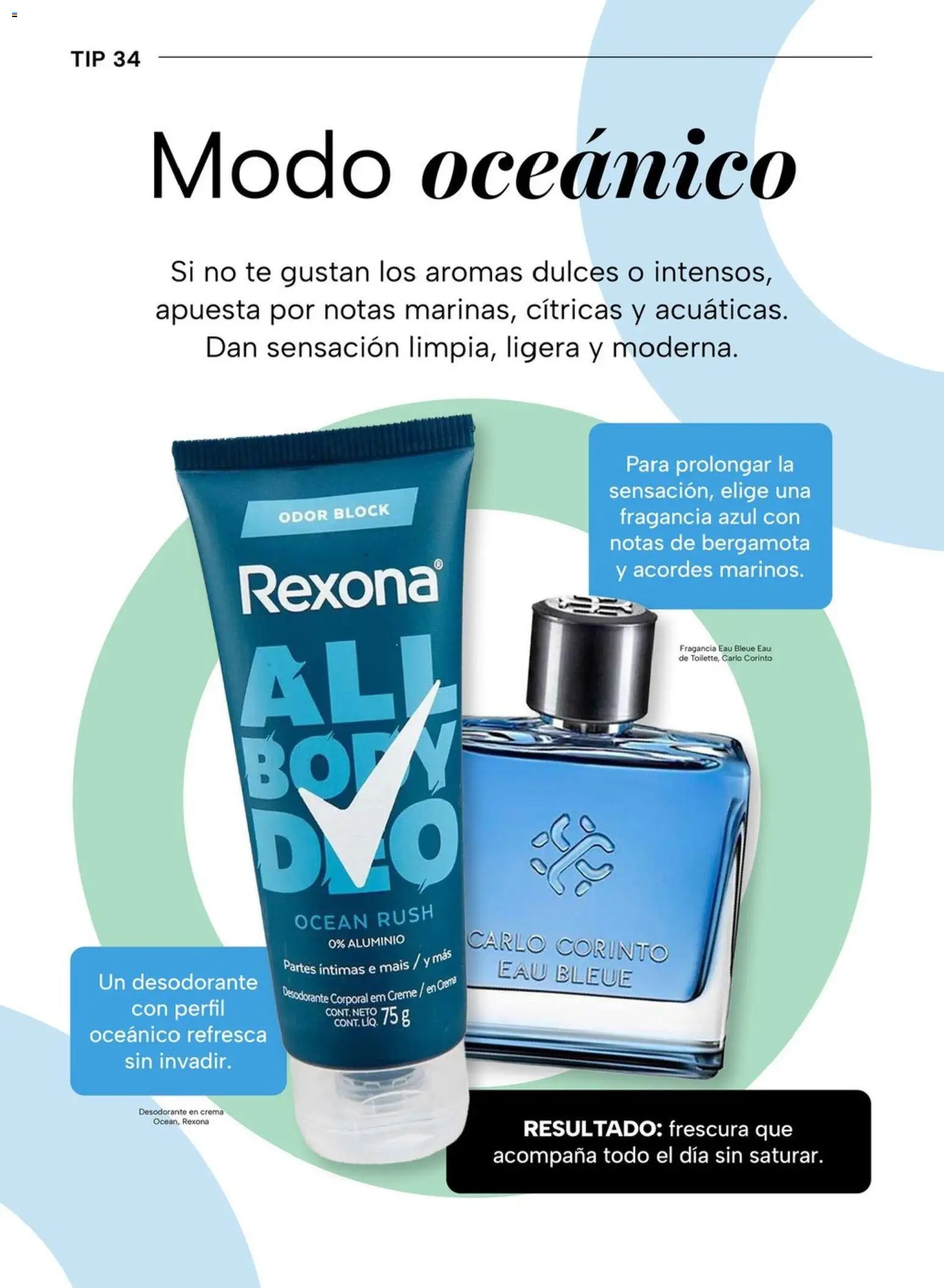 Chedraui folleto