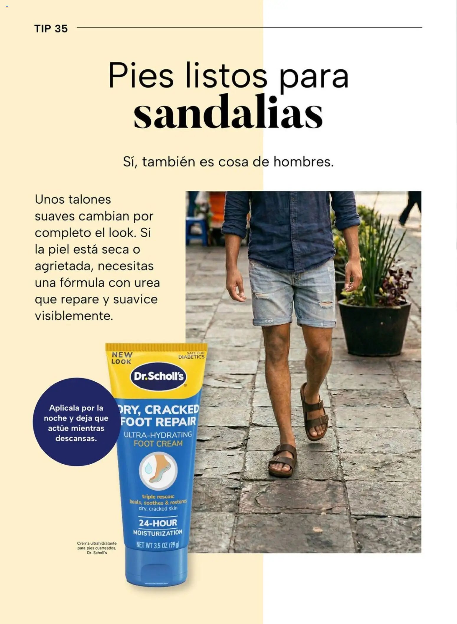 Chedraui folleto