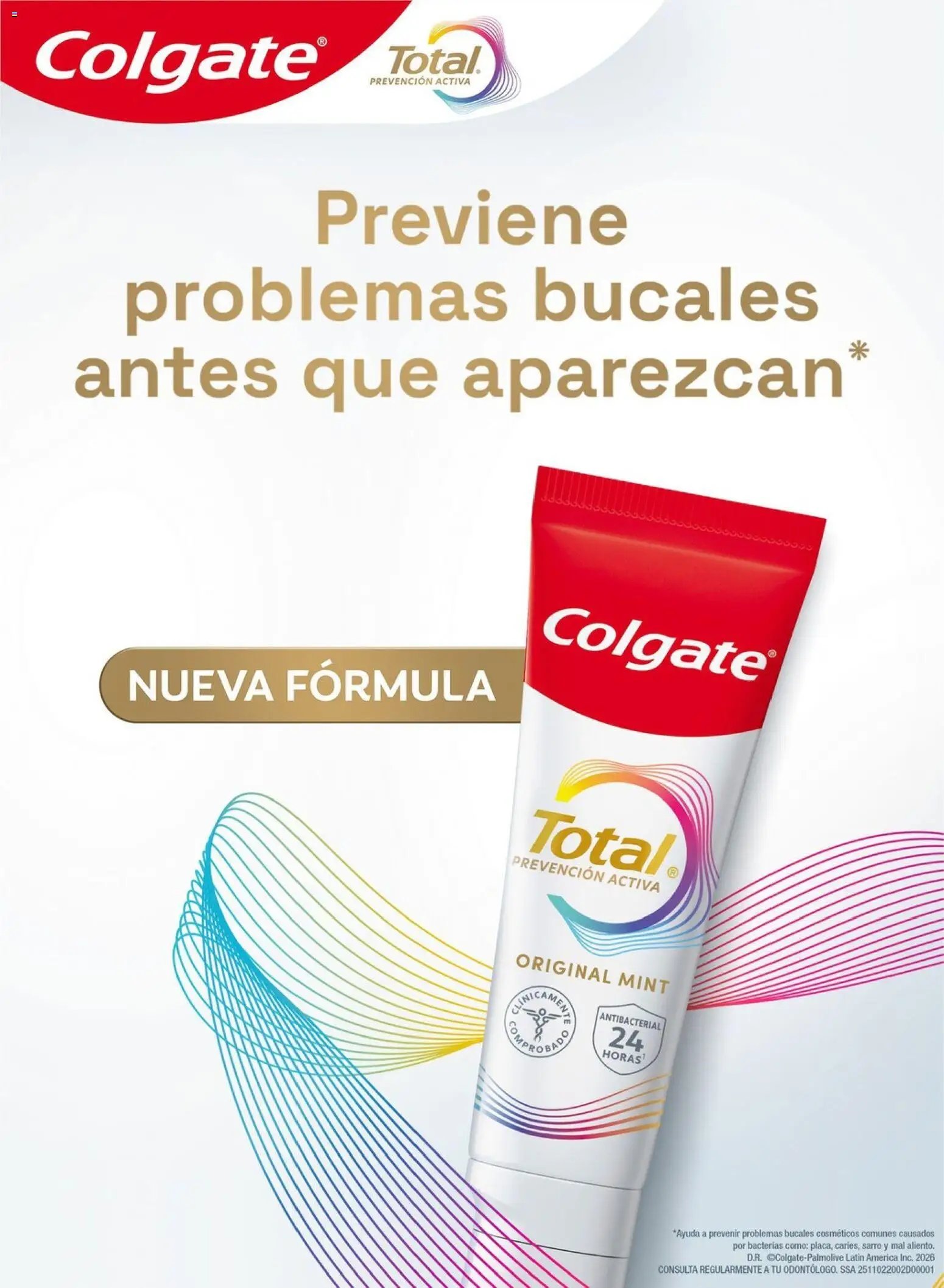 Chedraui folleto