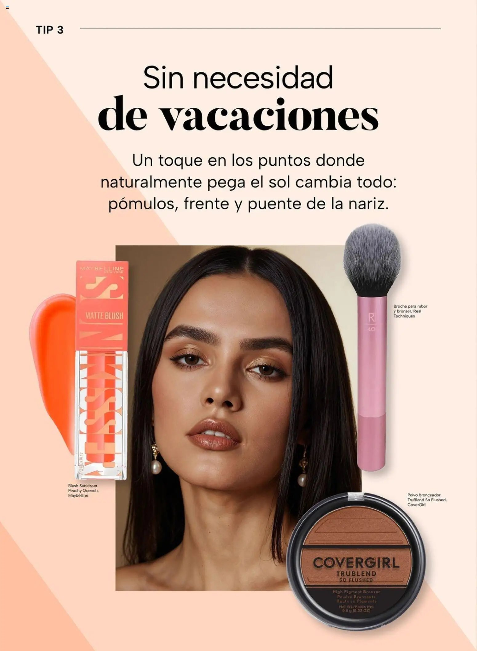 Chedraui folleto