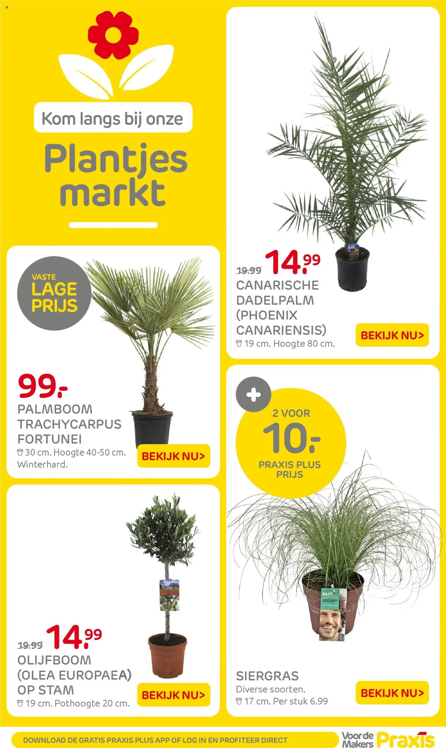 Praxis folder - Weekend actie