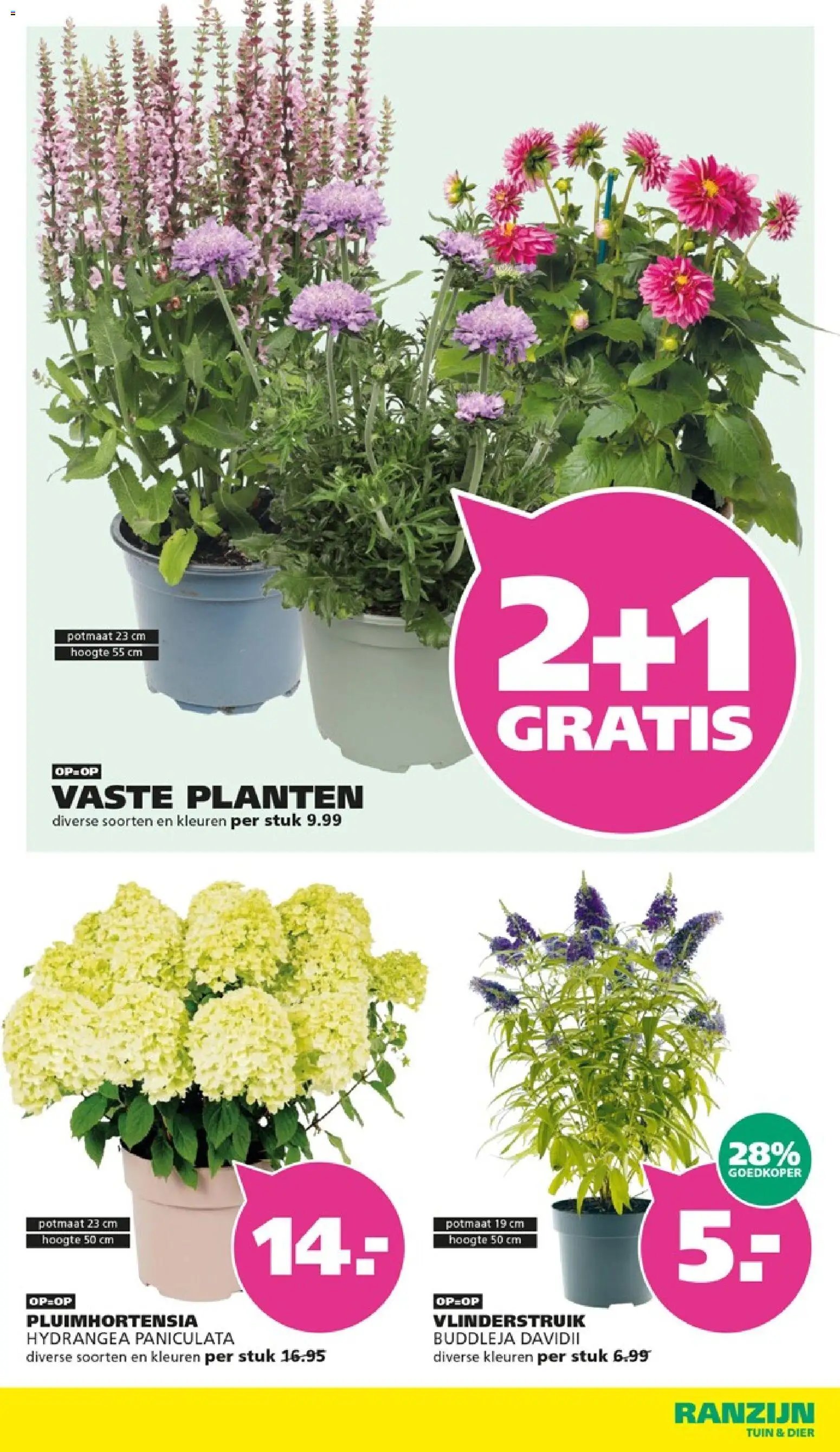 Ranzijn folder