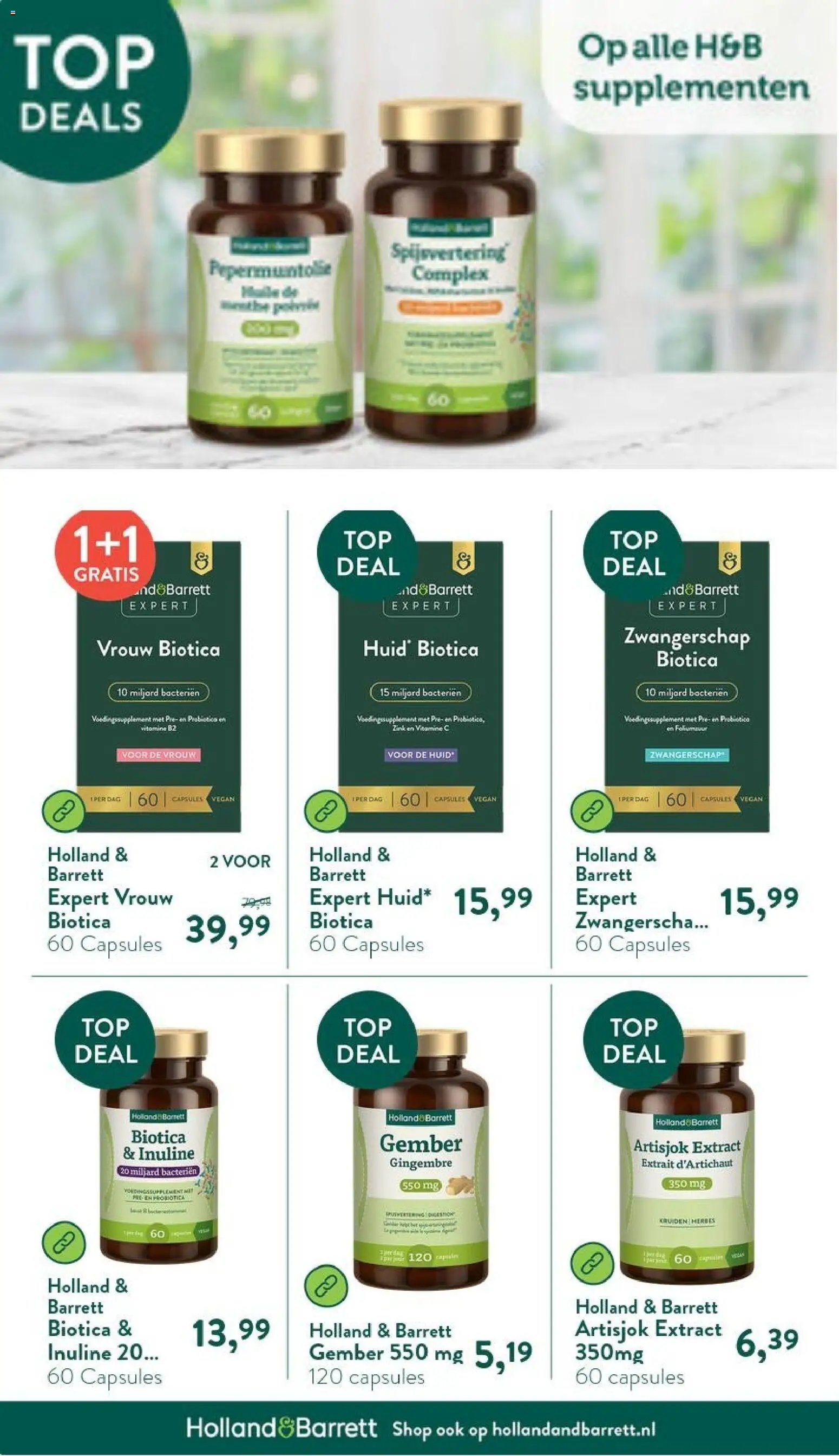 Holland & Barrett folder