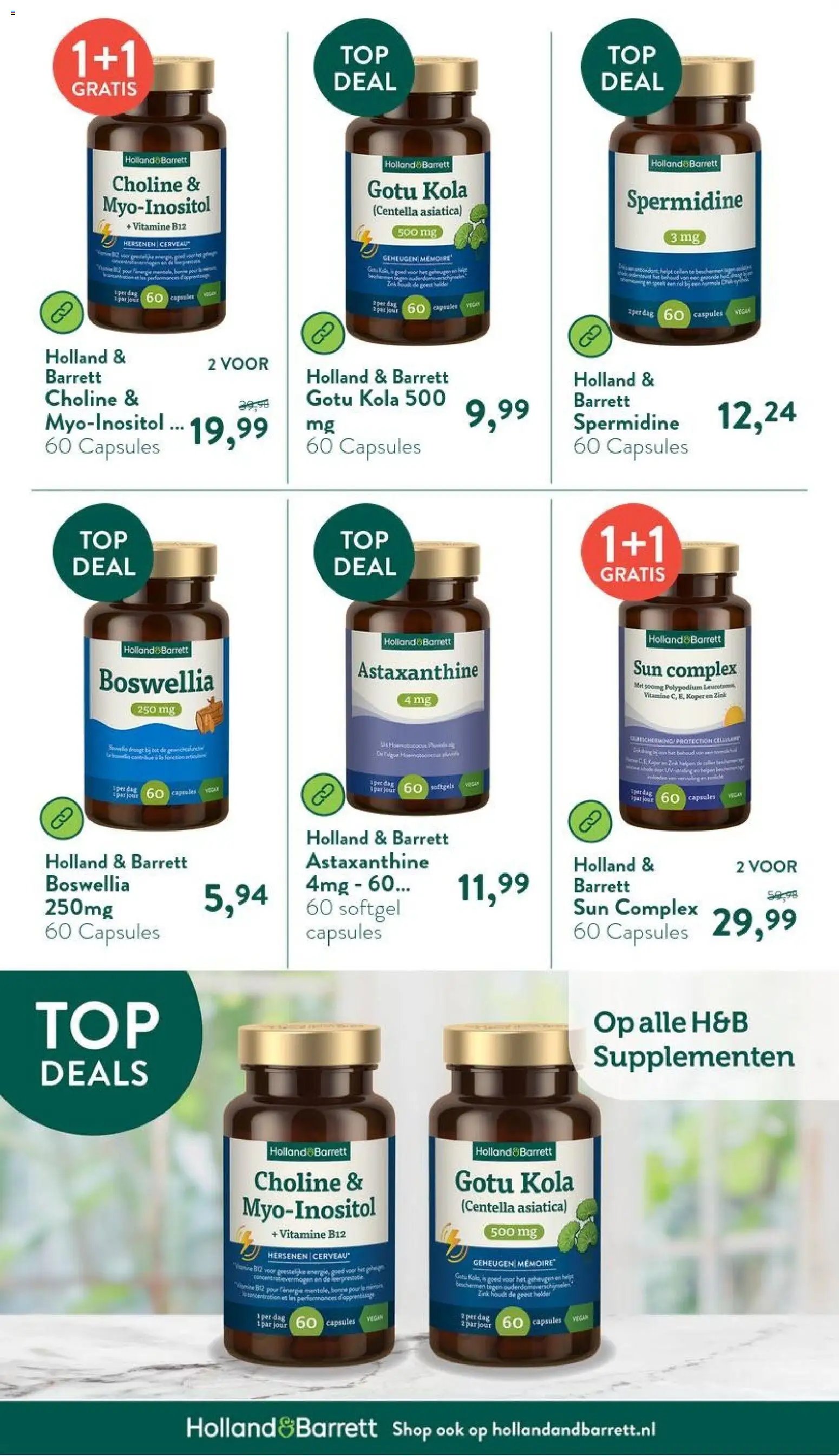 Holland & Barrett folder