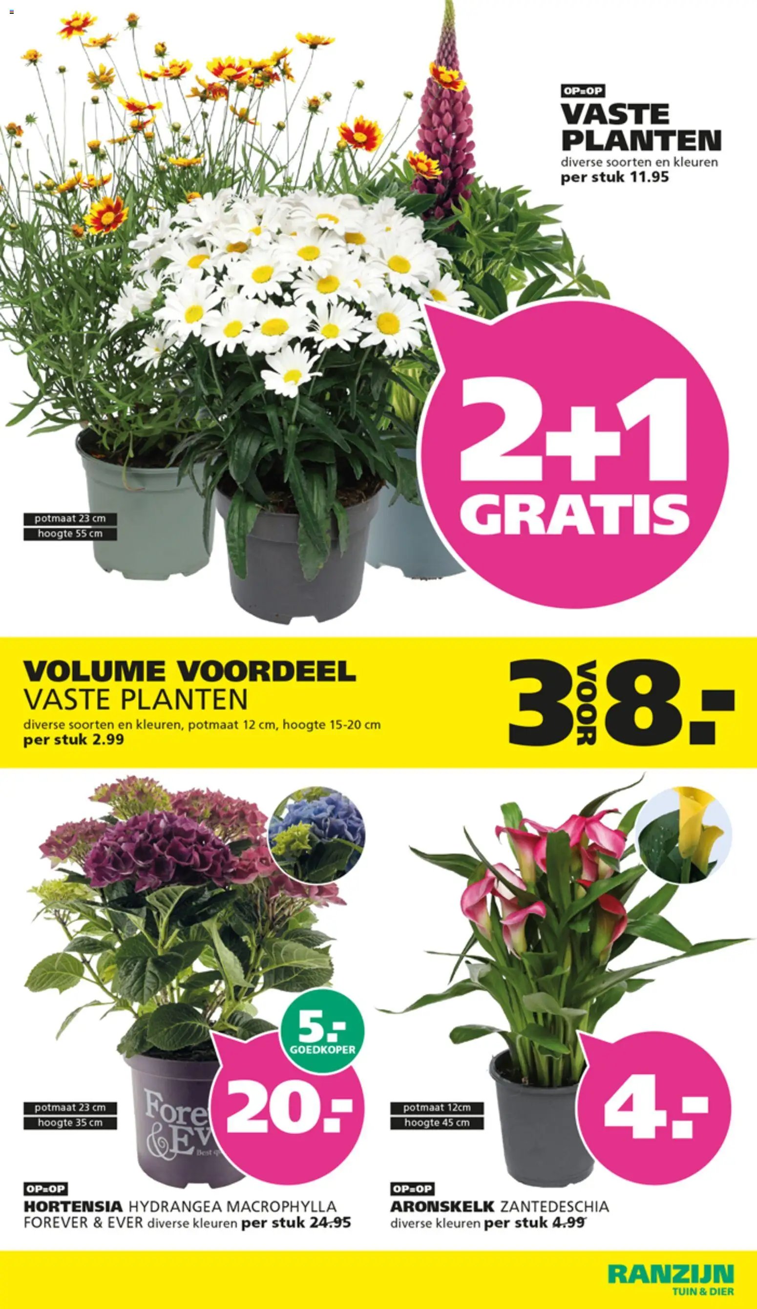 Ranzijn folder