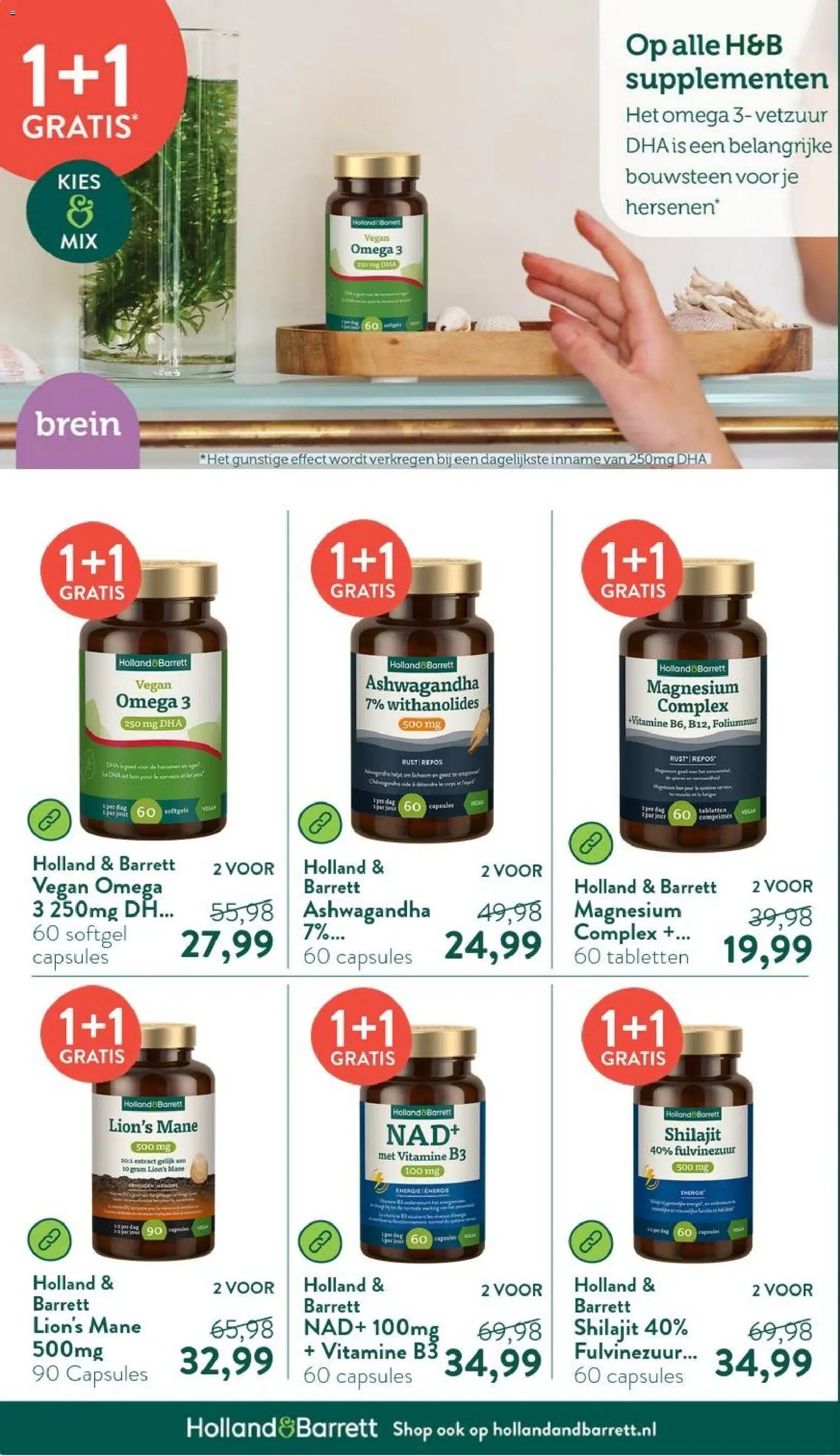 Holland & Barrett - Folder
