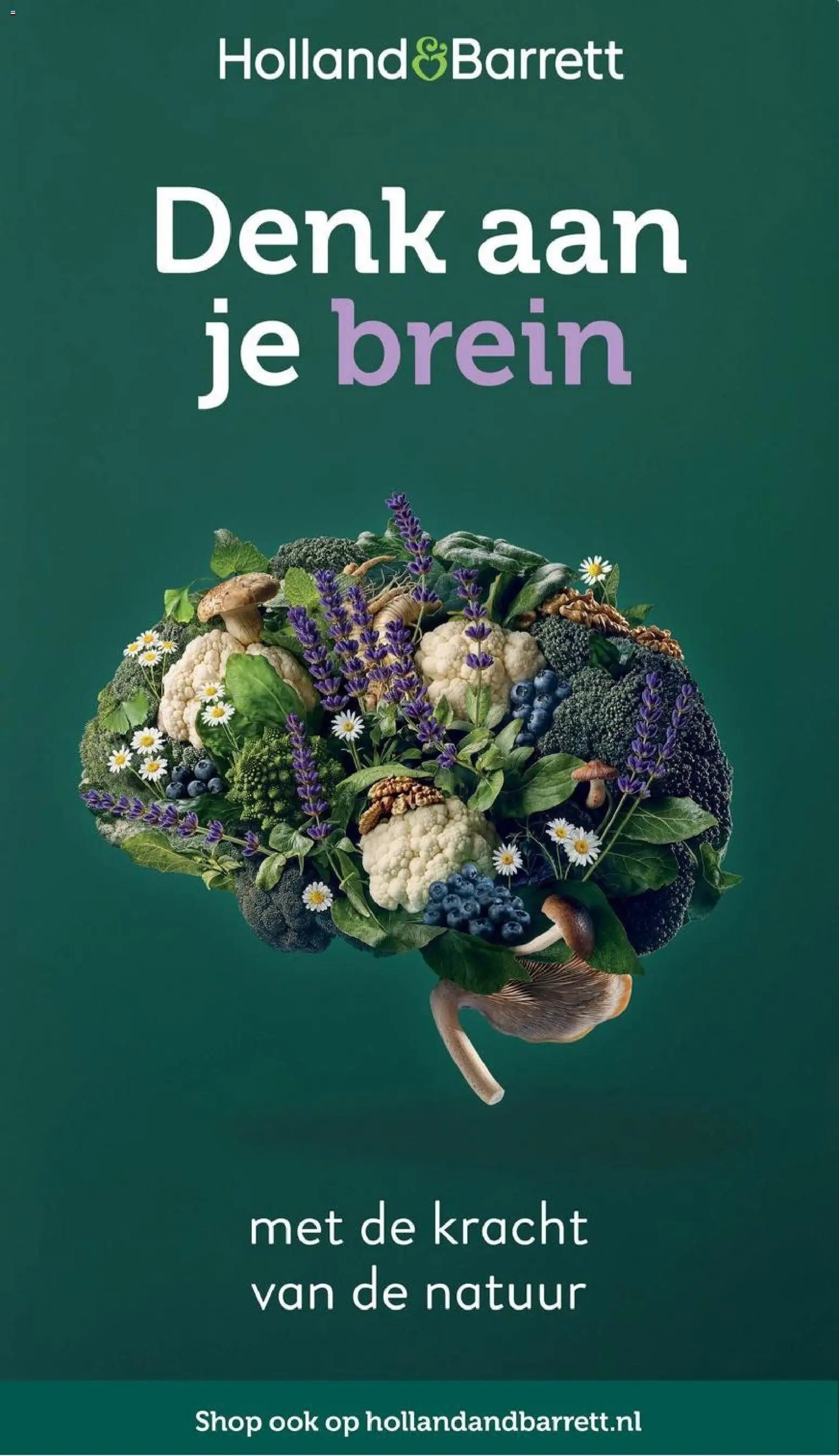 Holland & Barrett - Folder