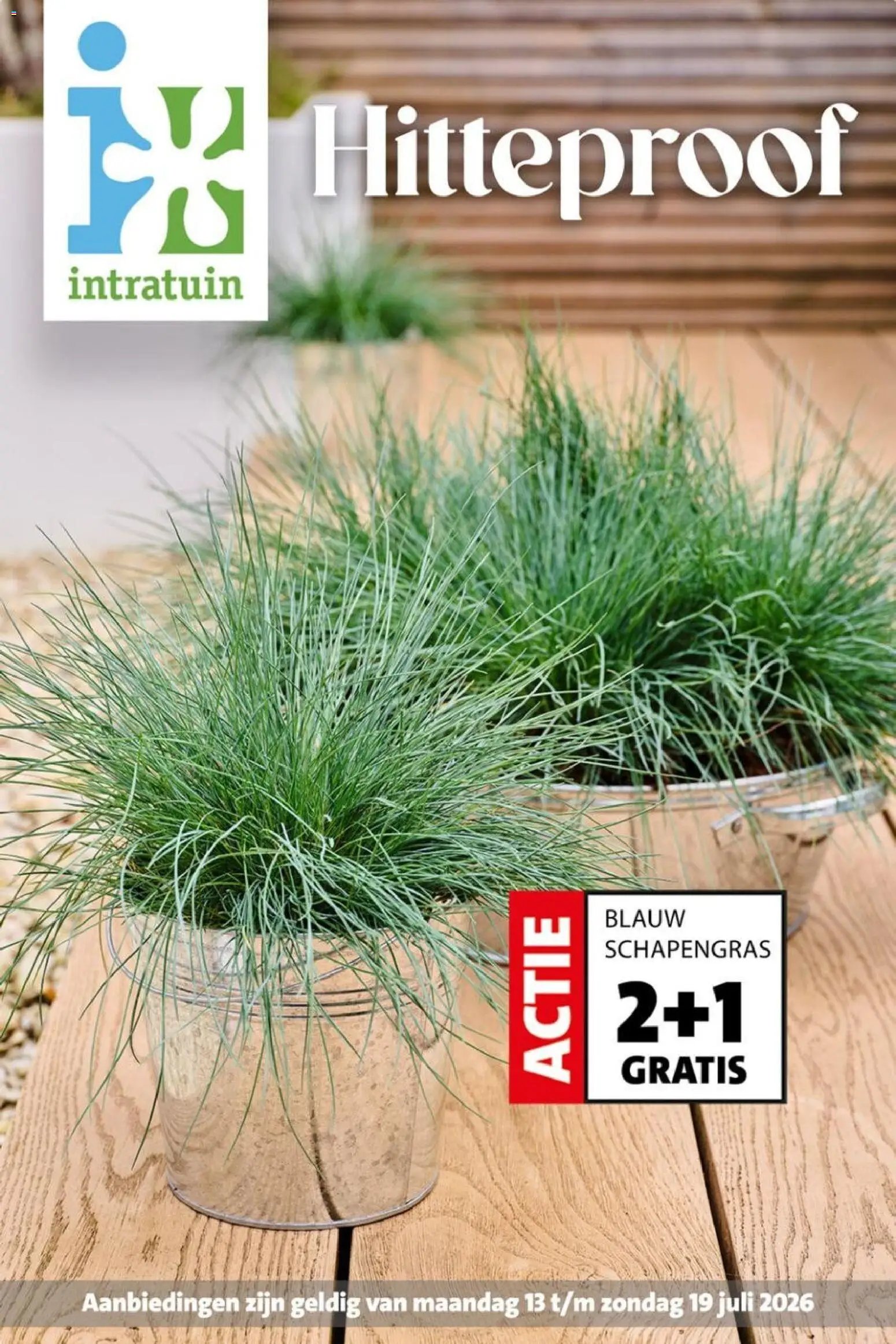 Intratuin folder