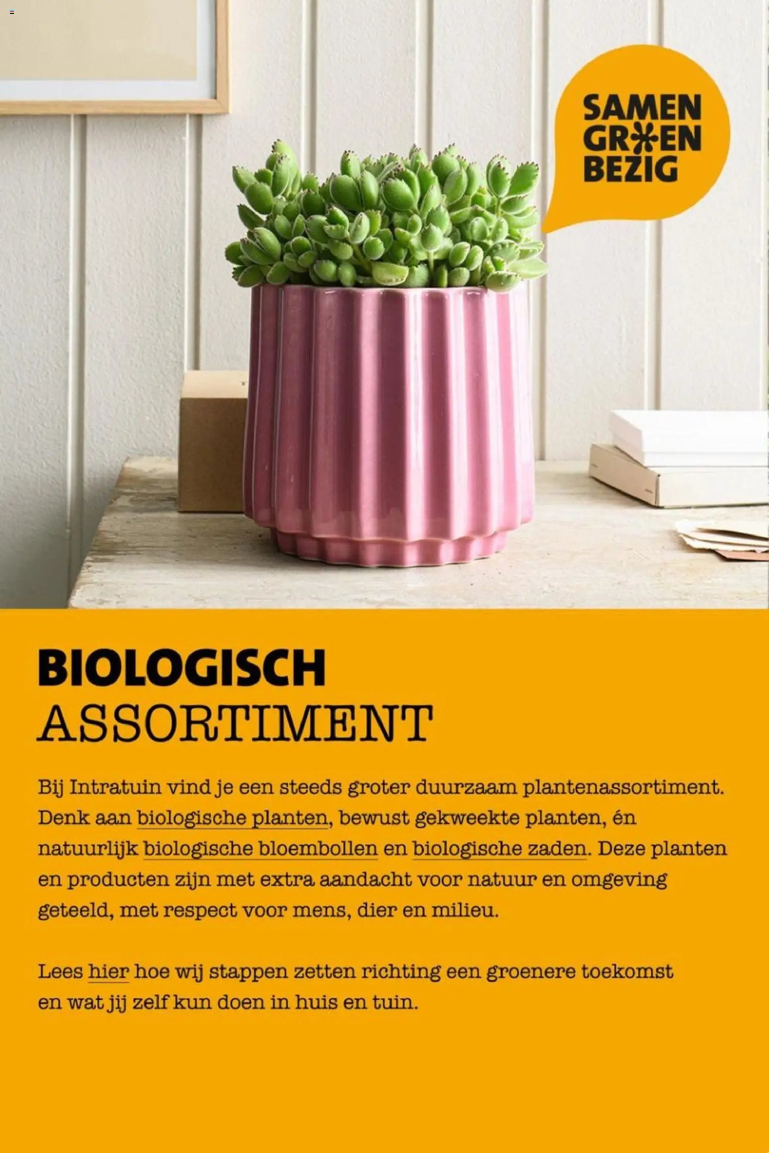 Intratuin folder