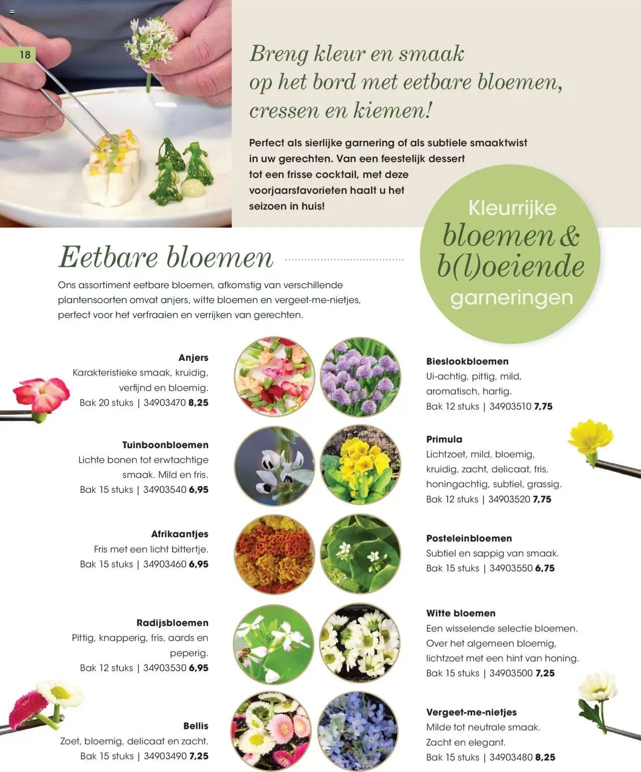 Hanos - Inspiratiemagazine voorjaar 2025