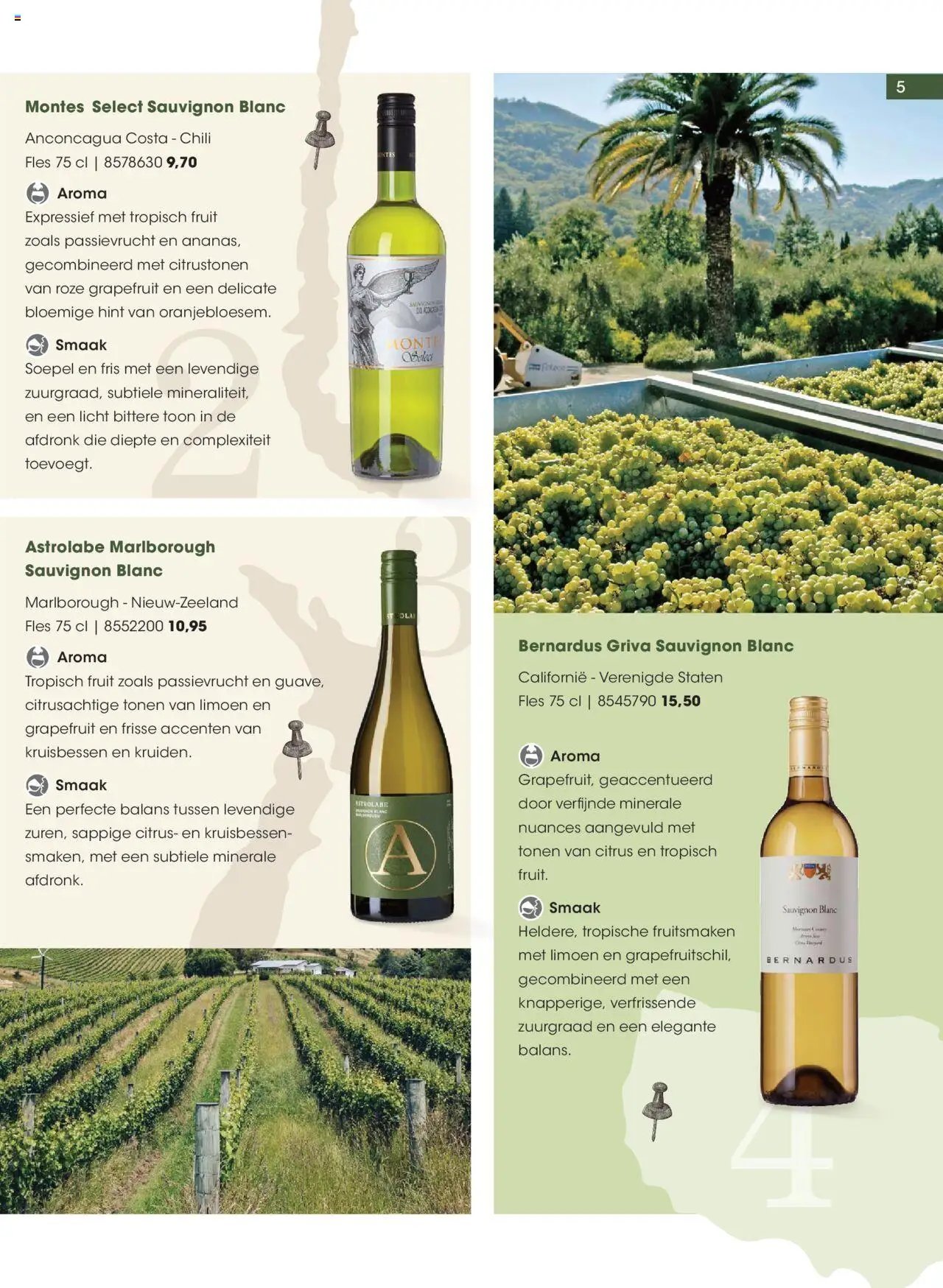 Hanos - Inspiratiemagazine voorjaar 2025