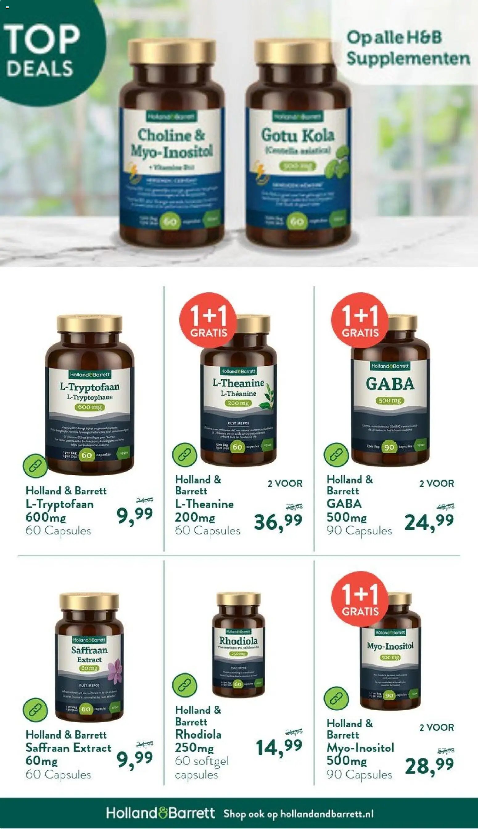 Holland & Barrett folder