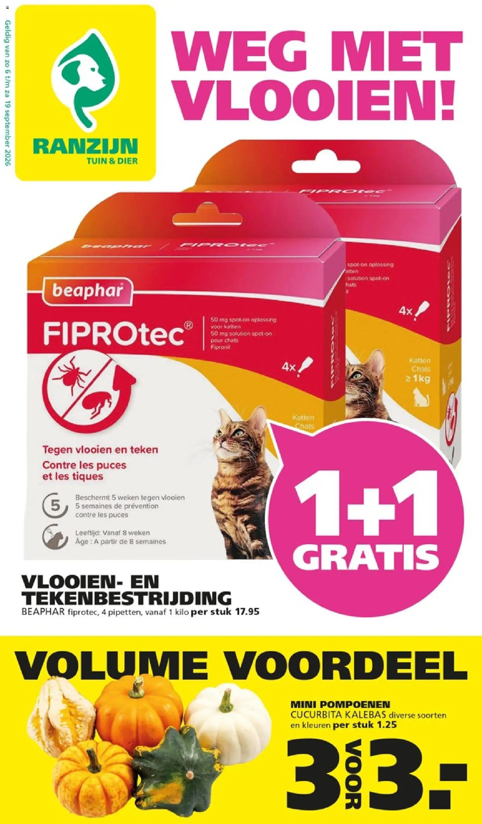 Ranzijn folder