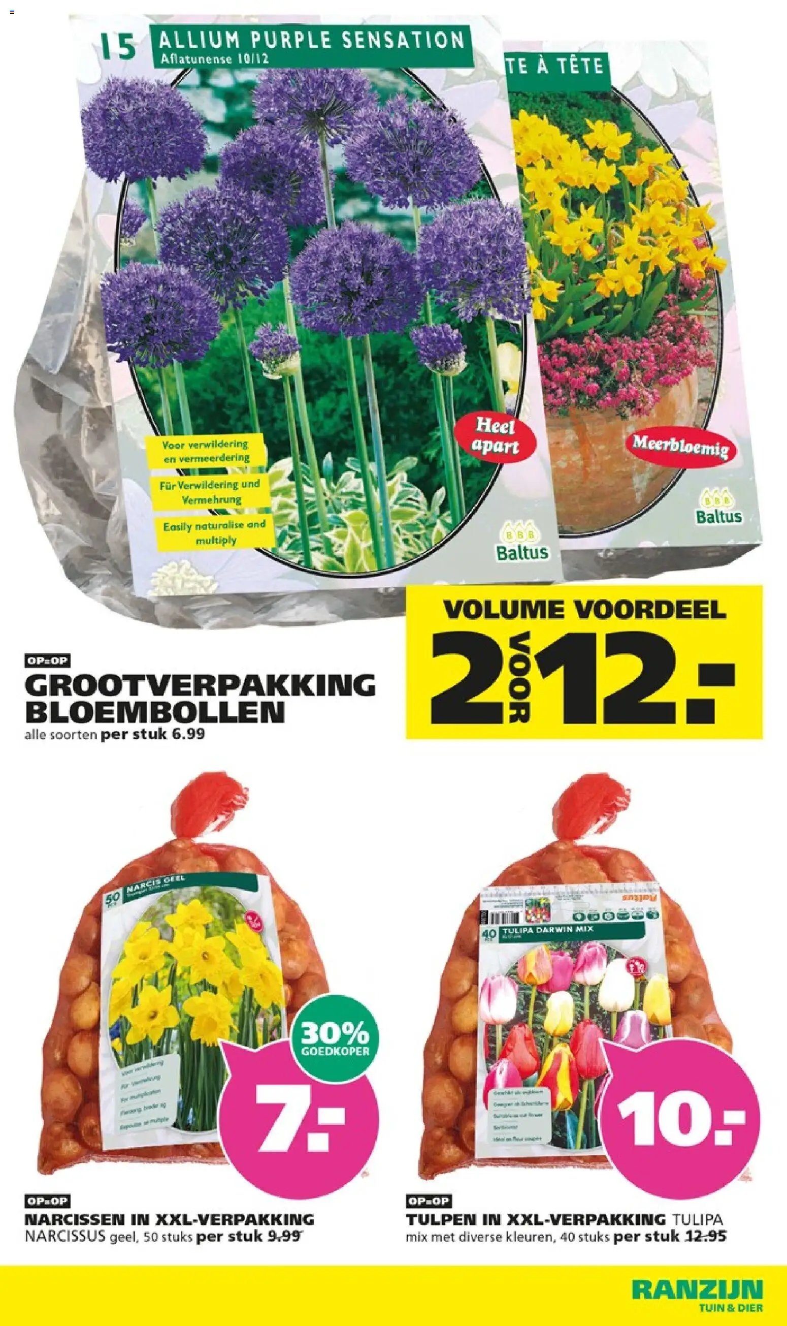 Ranzijn folder