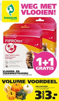 Ranzijn folder