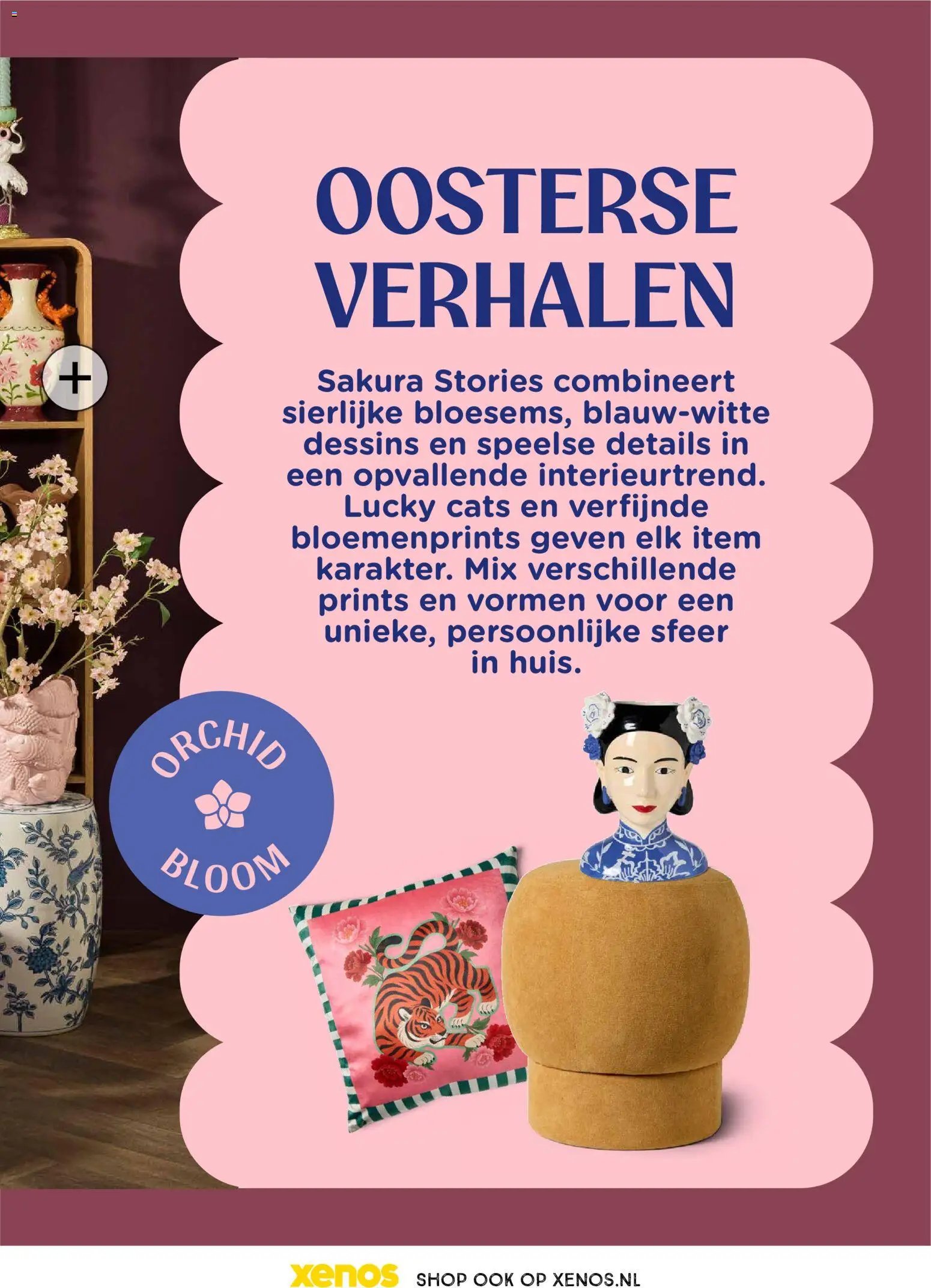 Xenos folder - Trendmagazine
