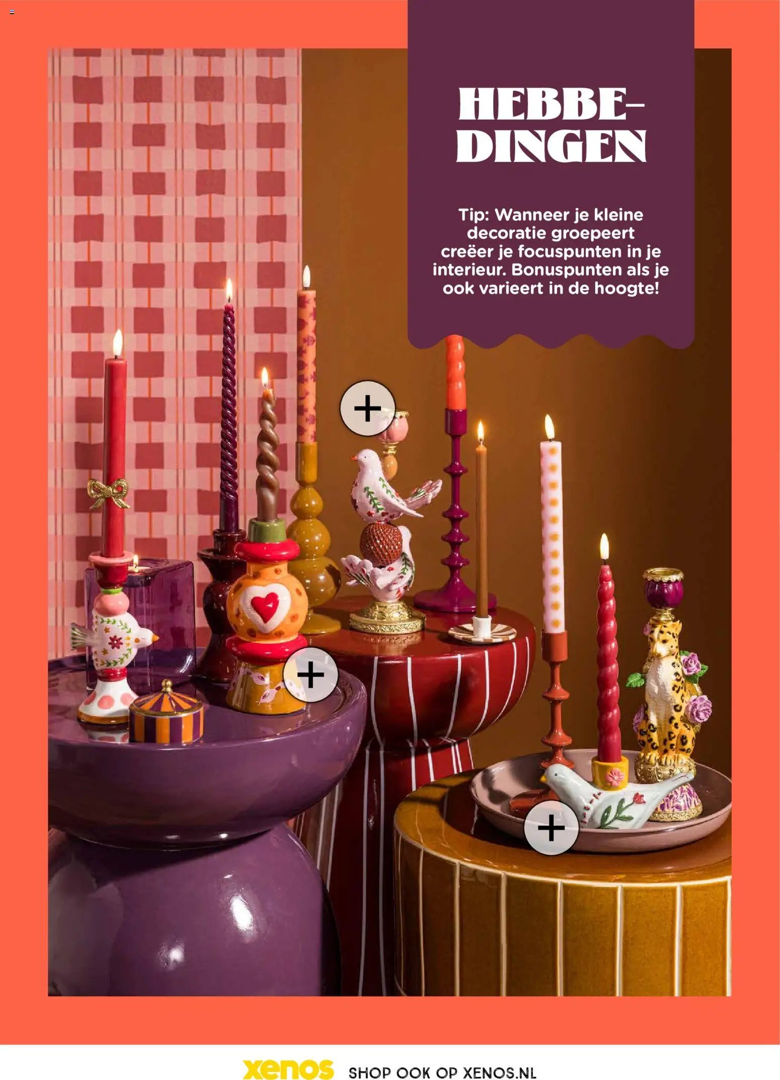 Xenos folder - Trendmagazine