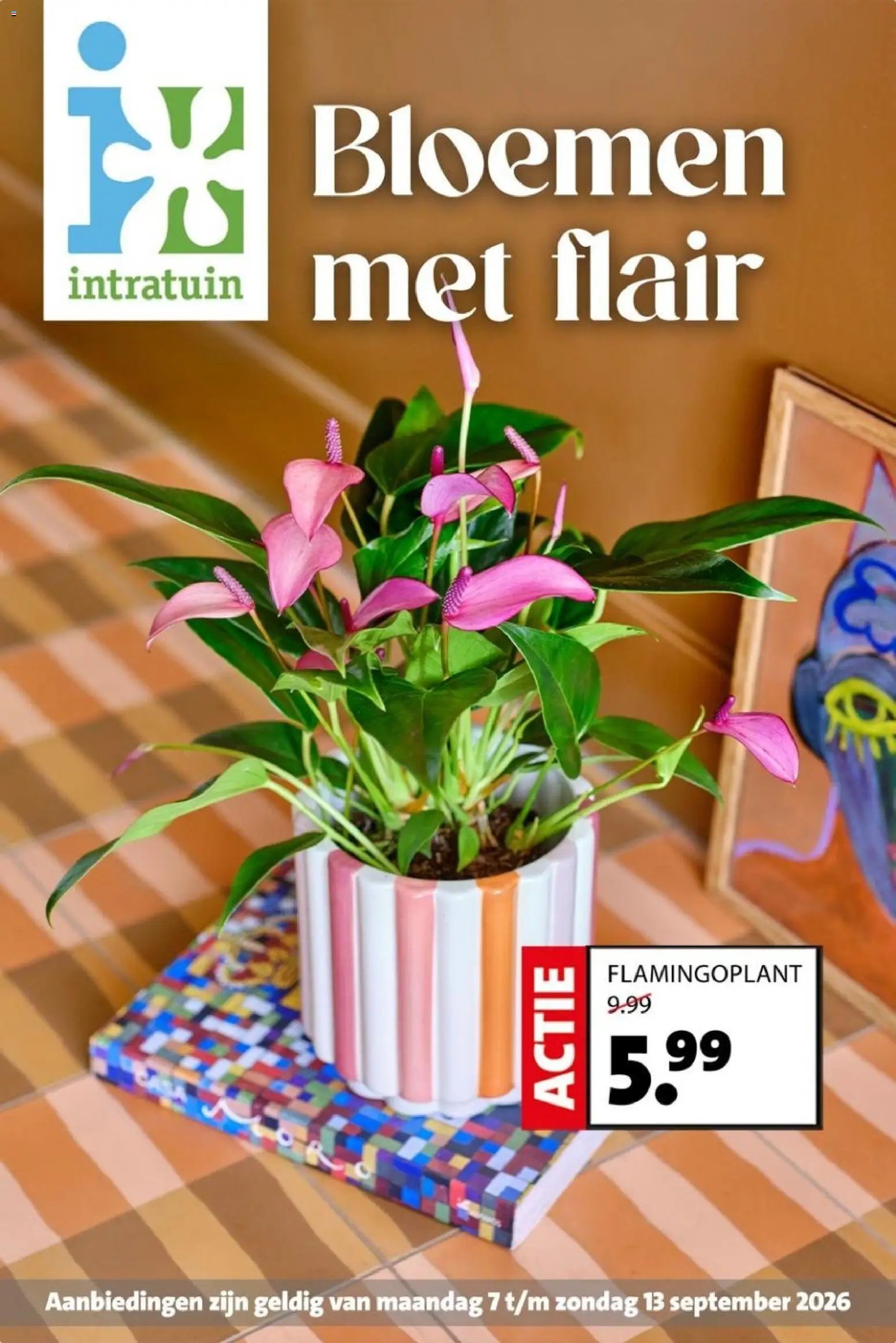 Intratuin folder