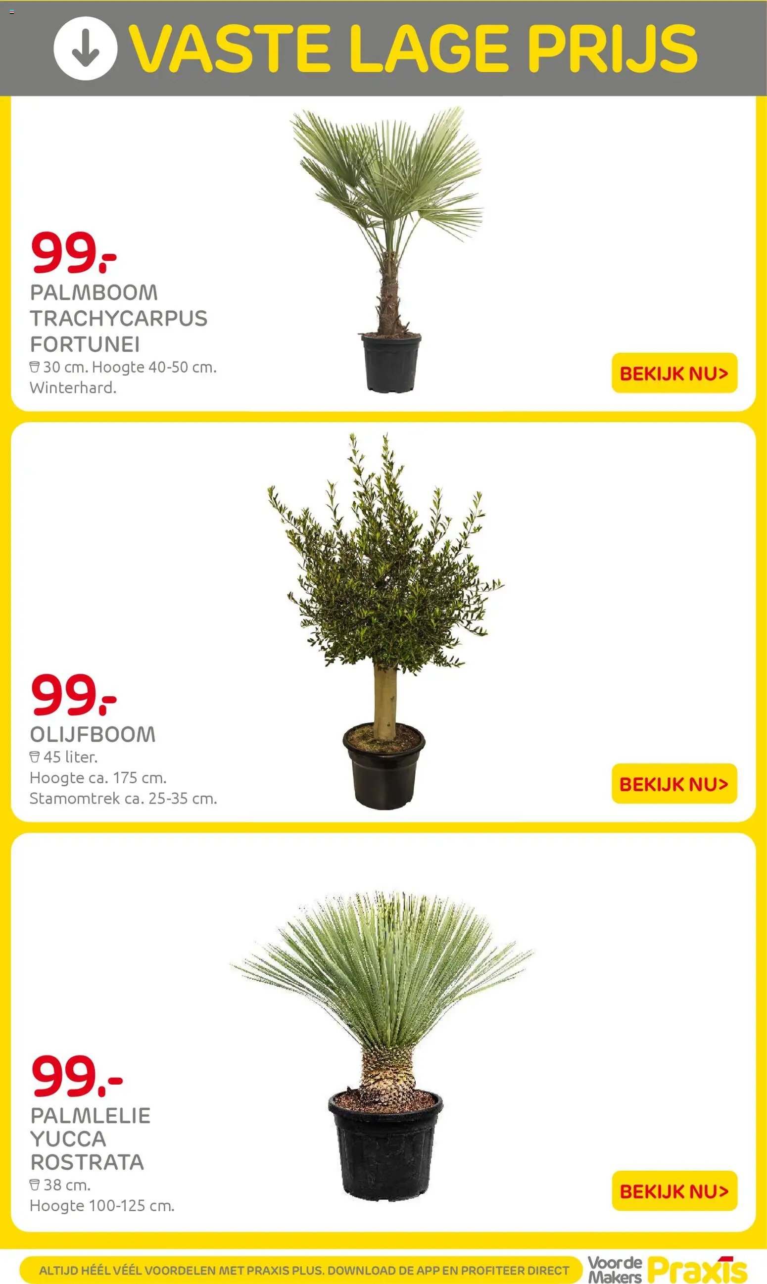 Praxis folder - Weekend actie