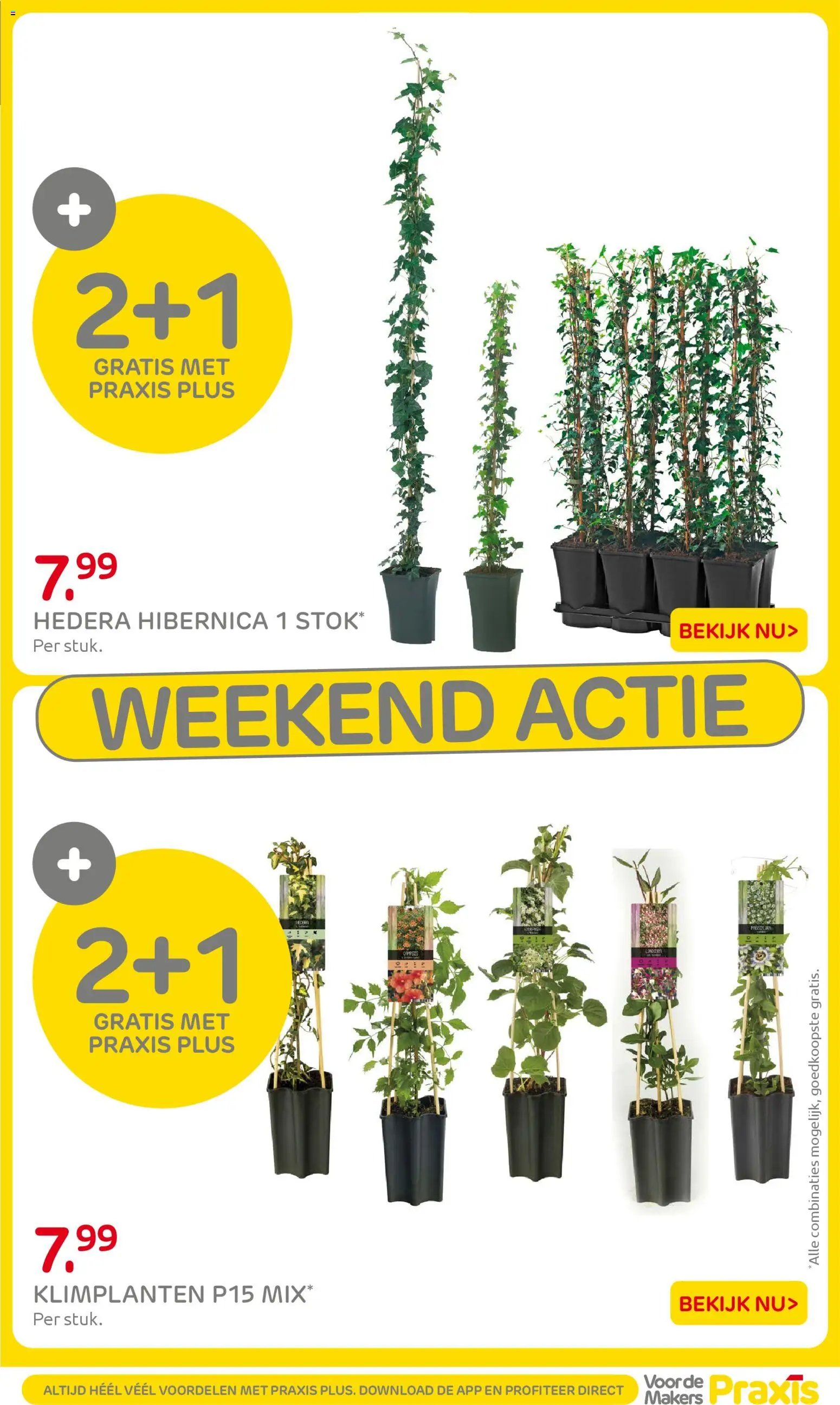 Praxis folder - Weekend actie