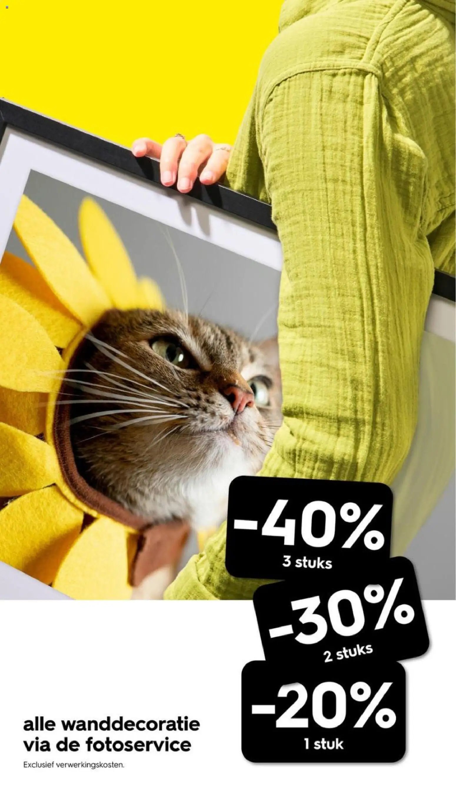 Hema folder