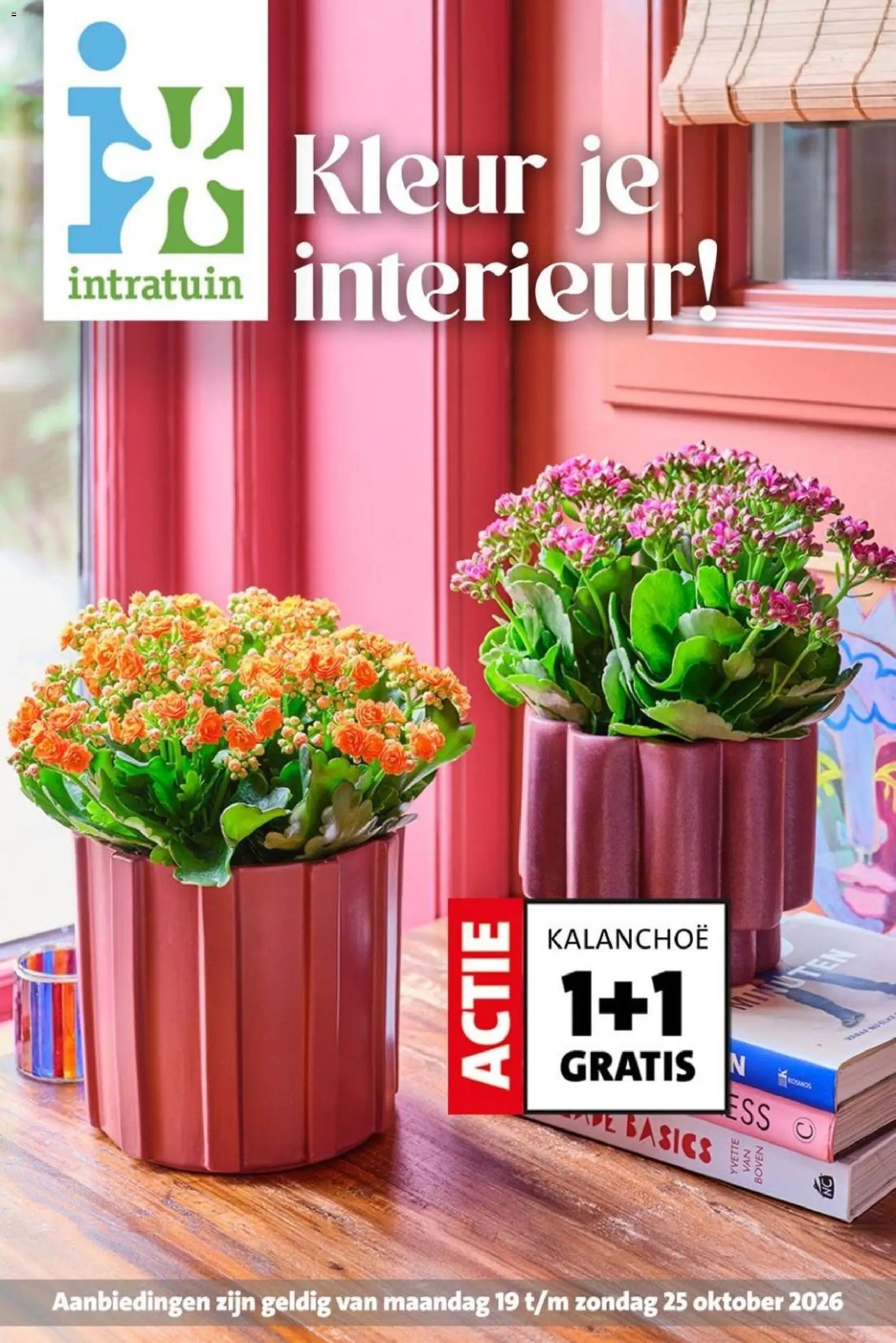 Intratuin folder