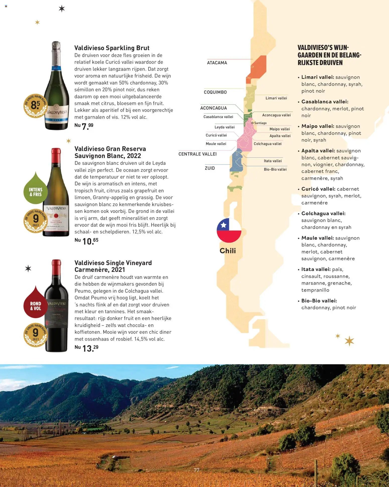 Gall en Gall - Toost magazine 2