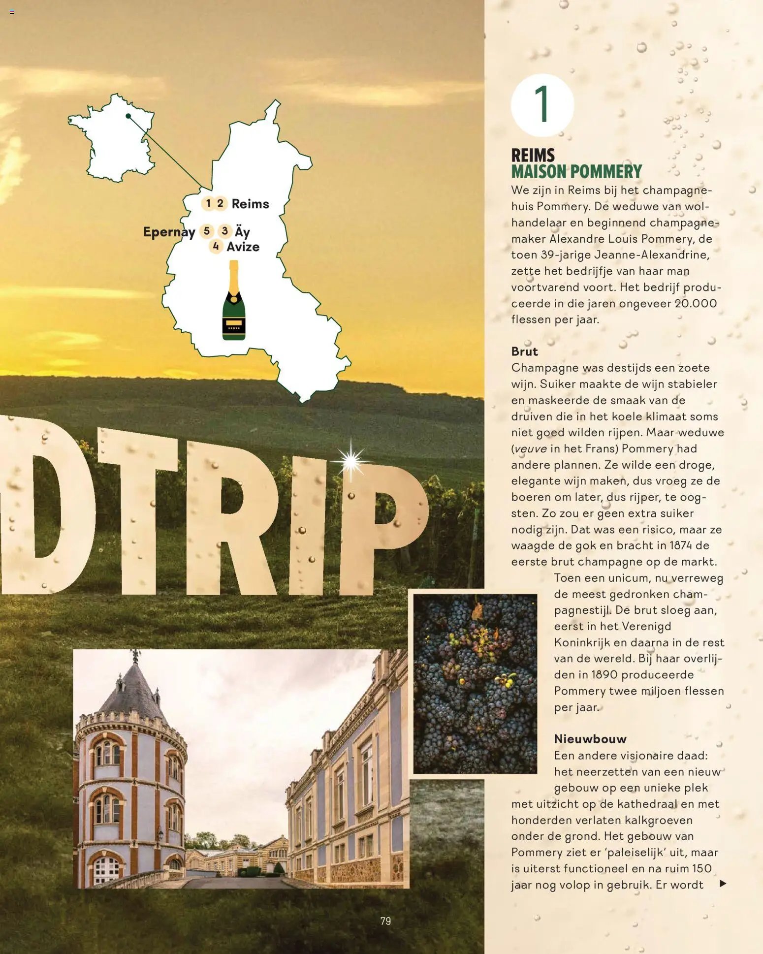 Gall en Gall - Toost magazine 2