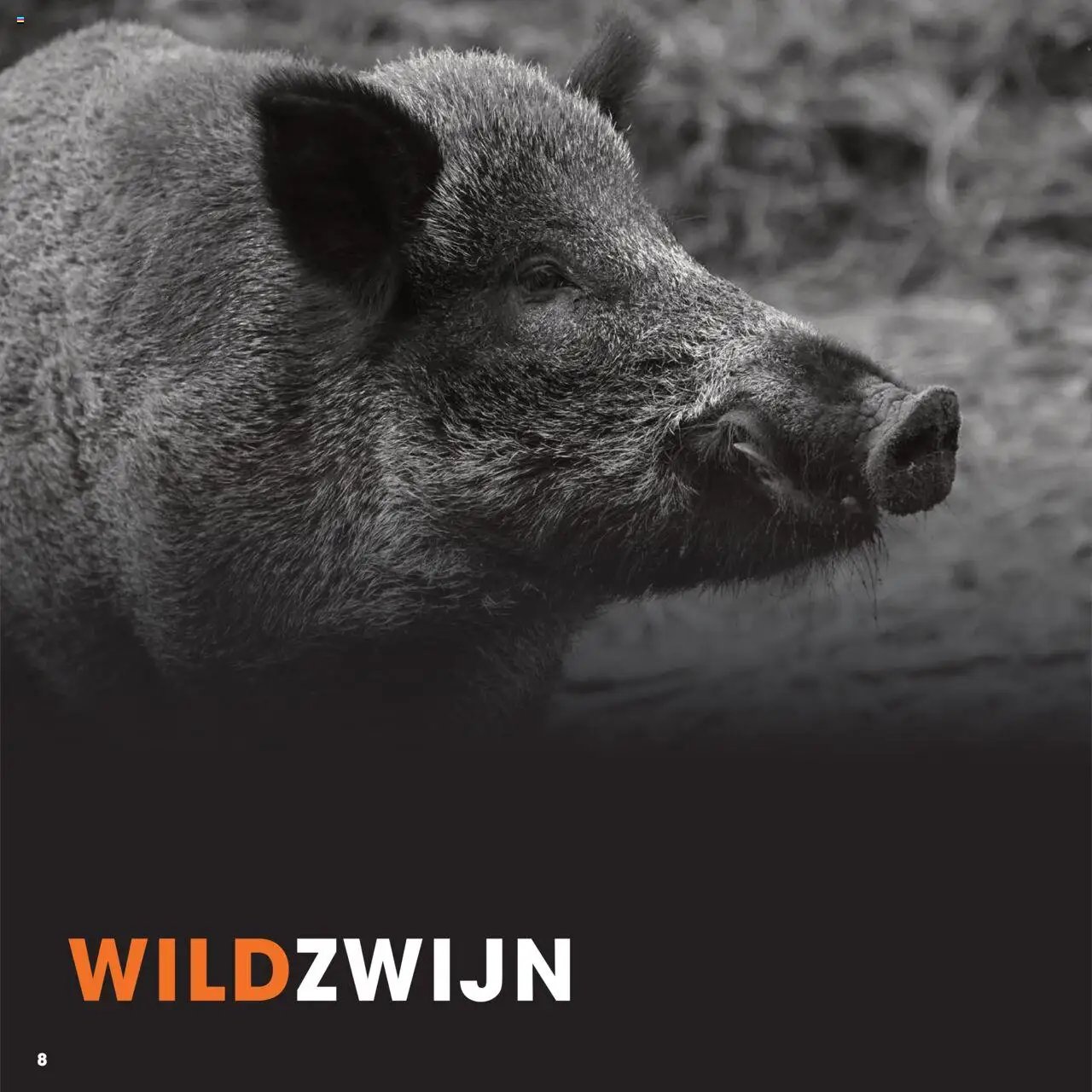 Hanos - Wildbrochure 2025/2026