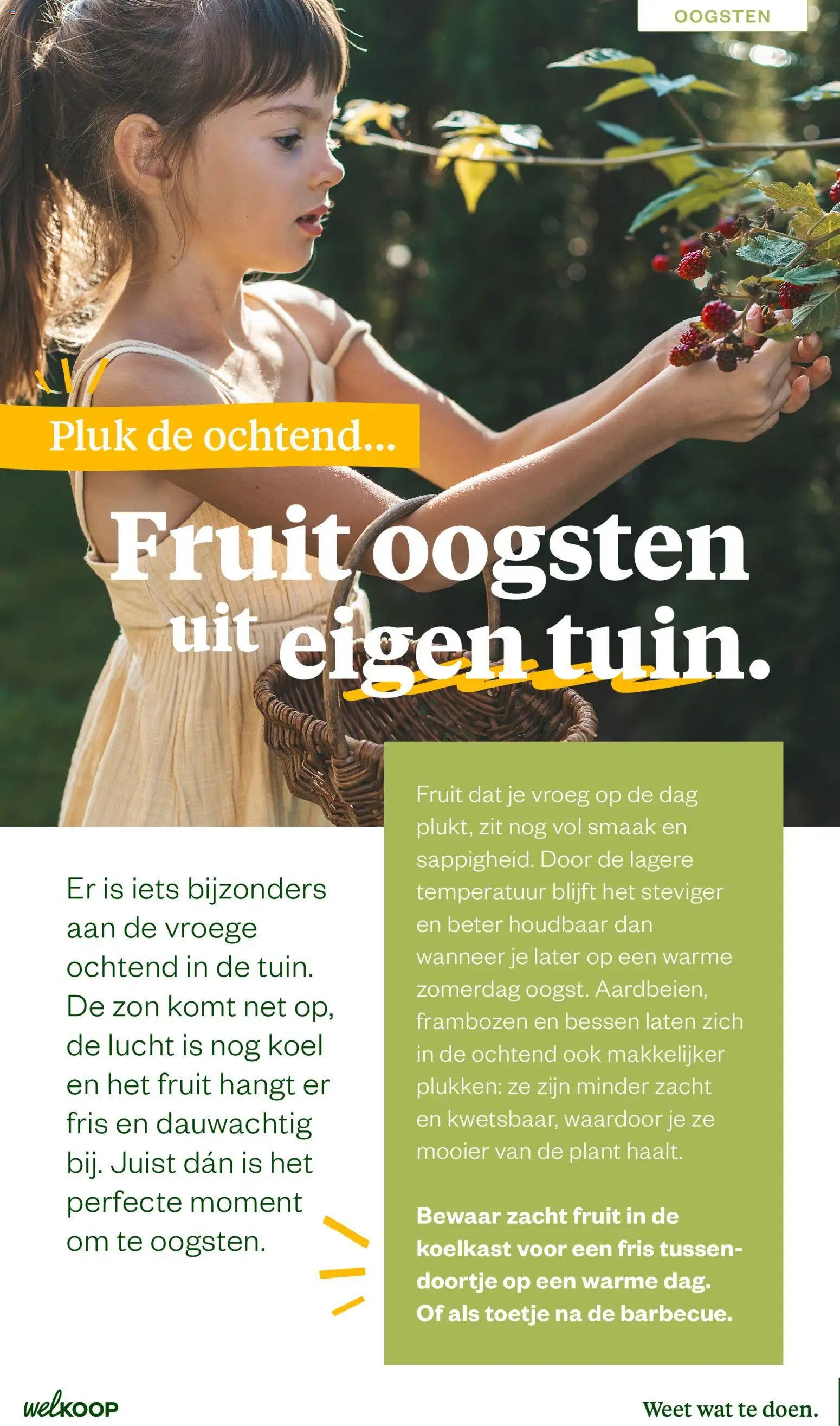 Welkoop folder - Zomermagazine