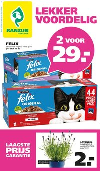 Ranzijn folder