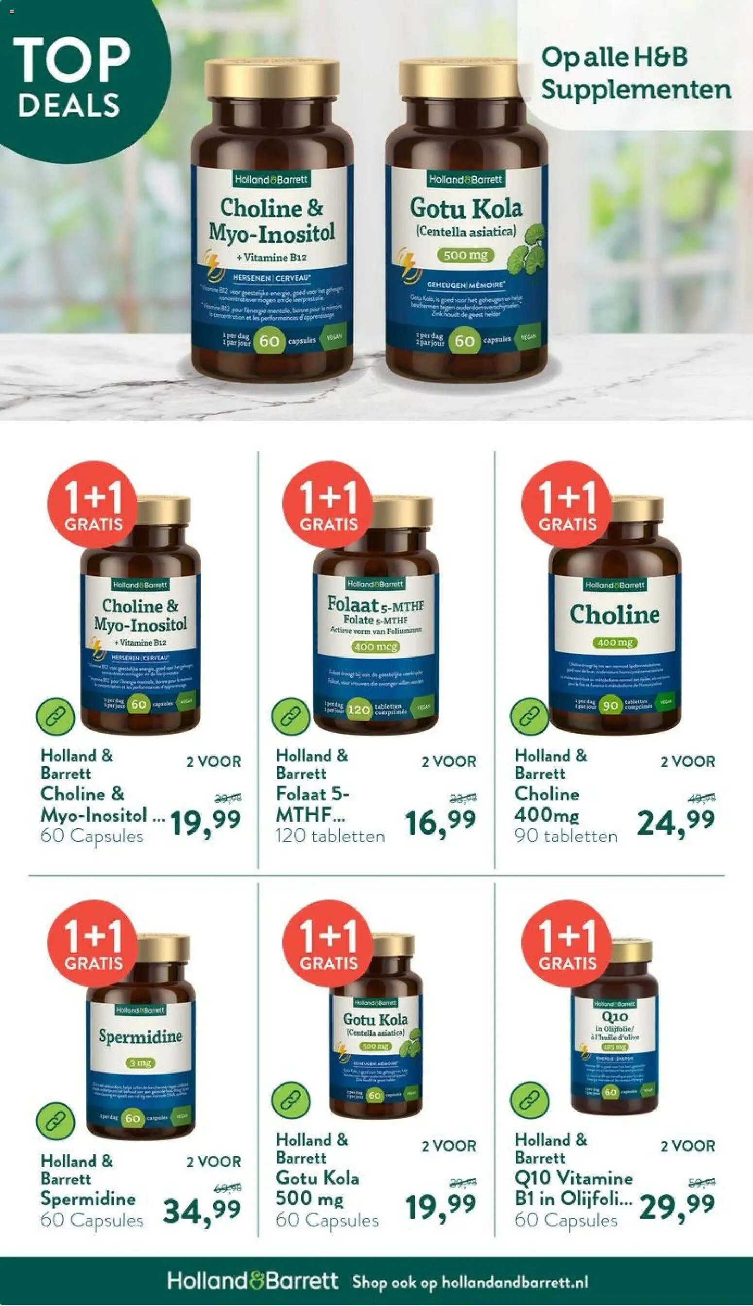 Holland & Barrett folder