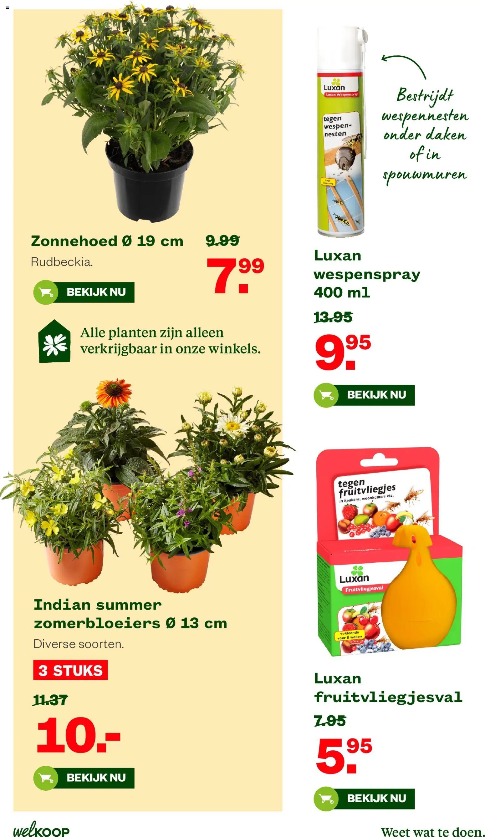 Welkoop folder