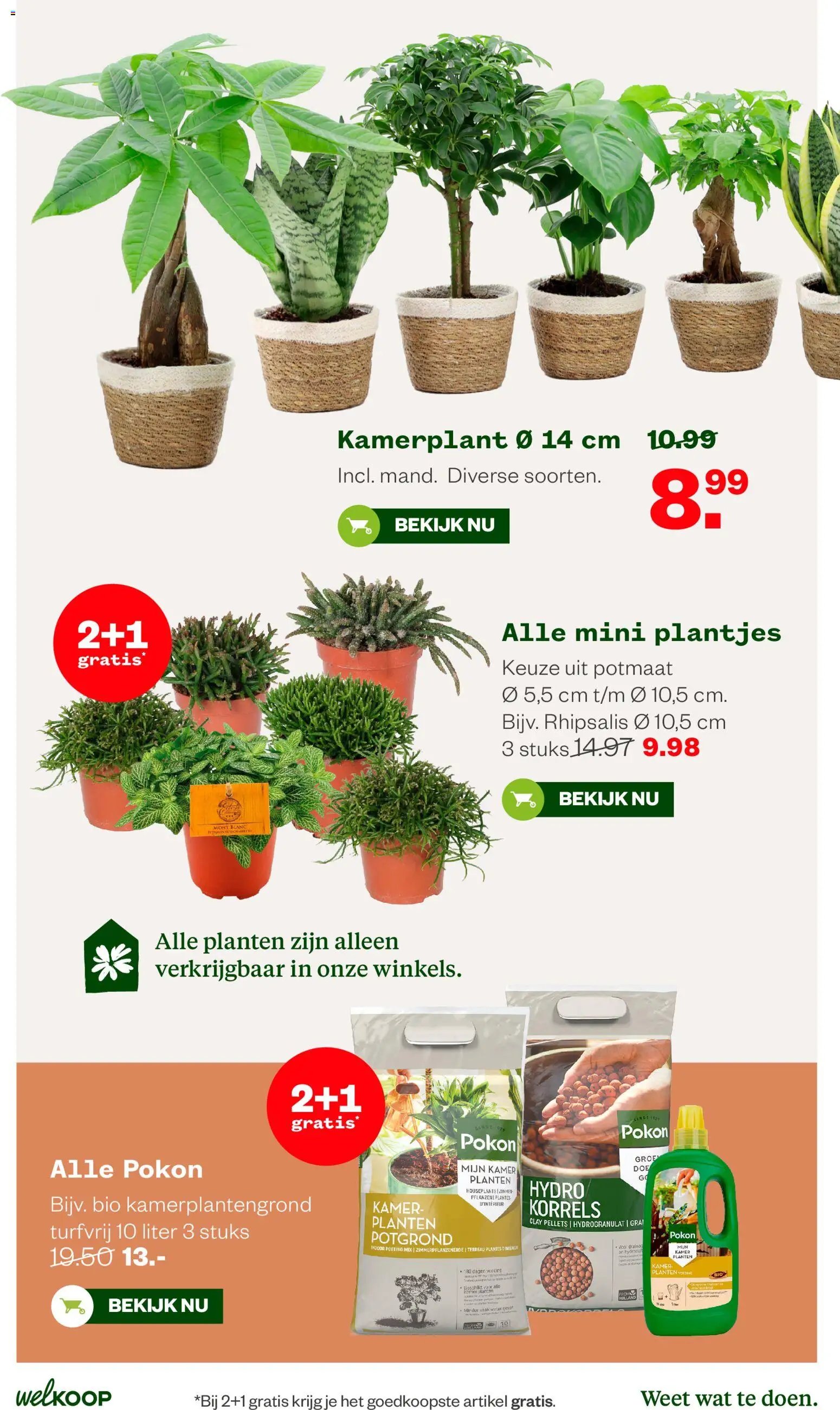Welkoop folder