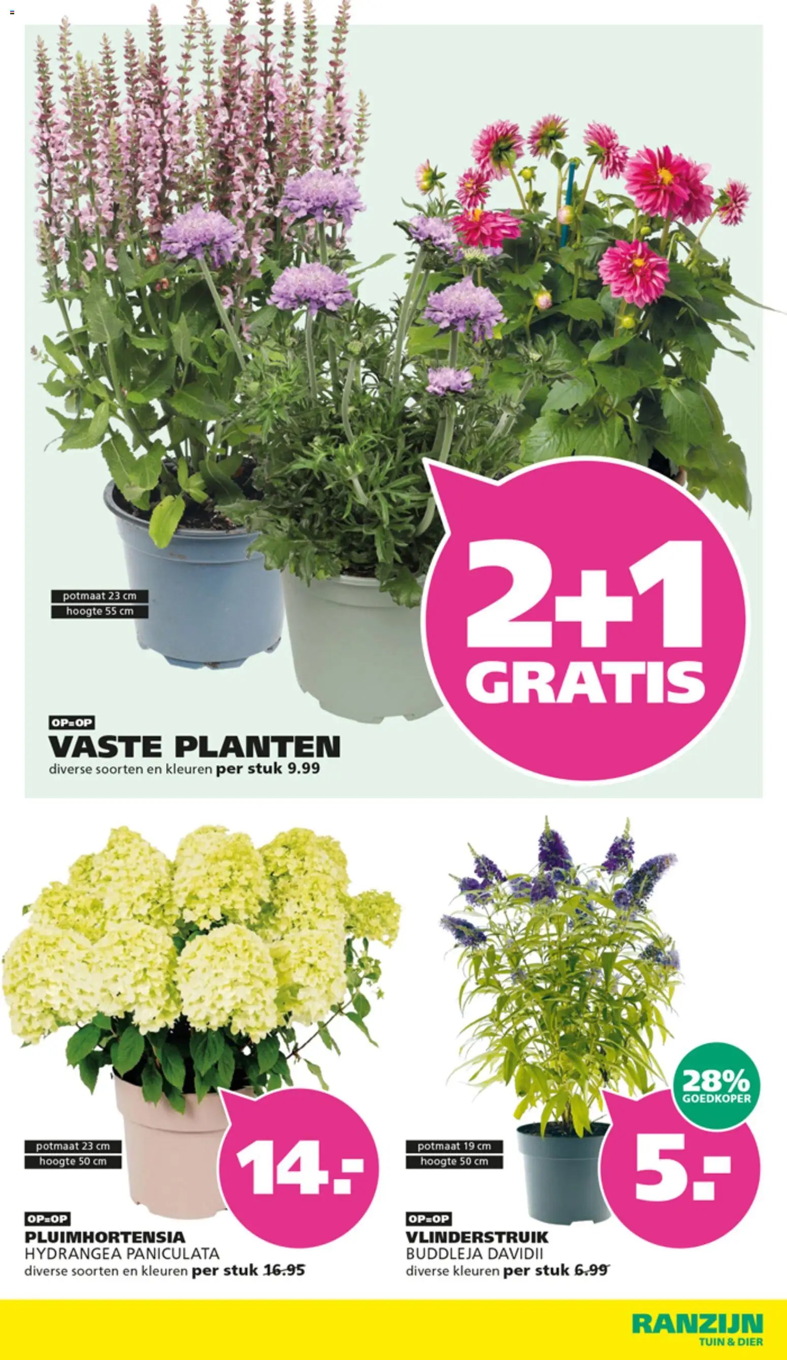 Ranzijn folder