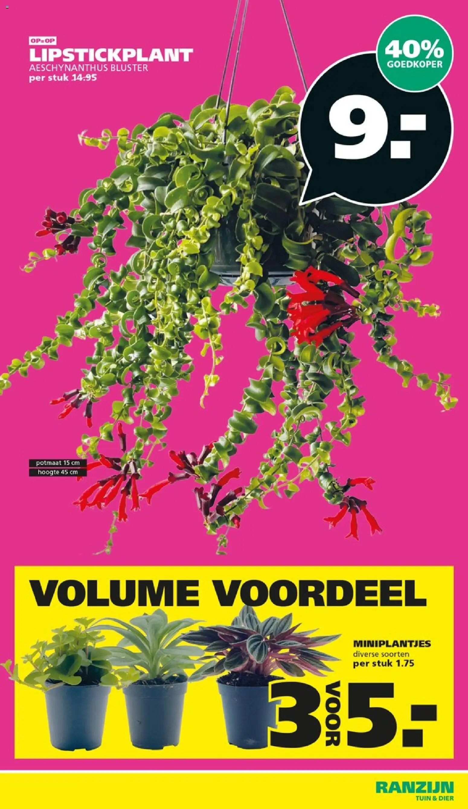Ranzijn folder