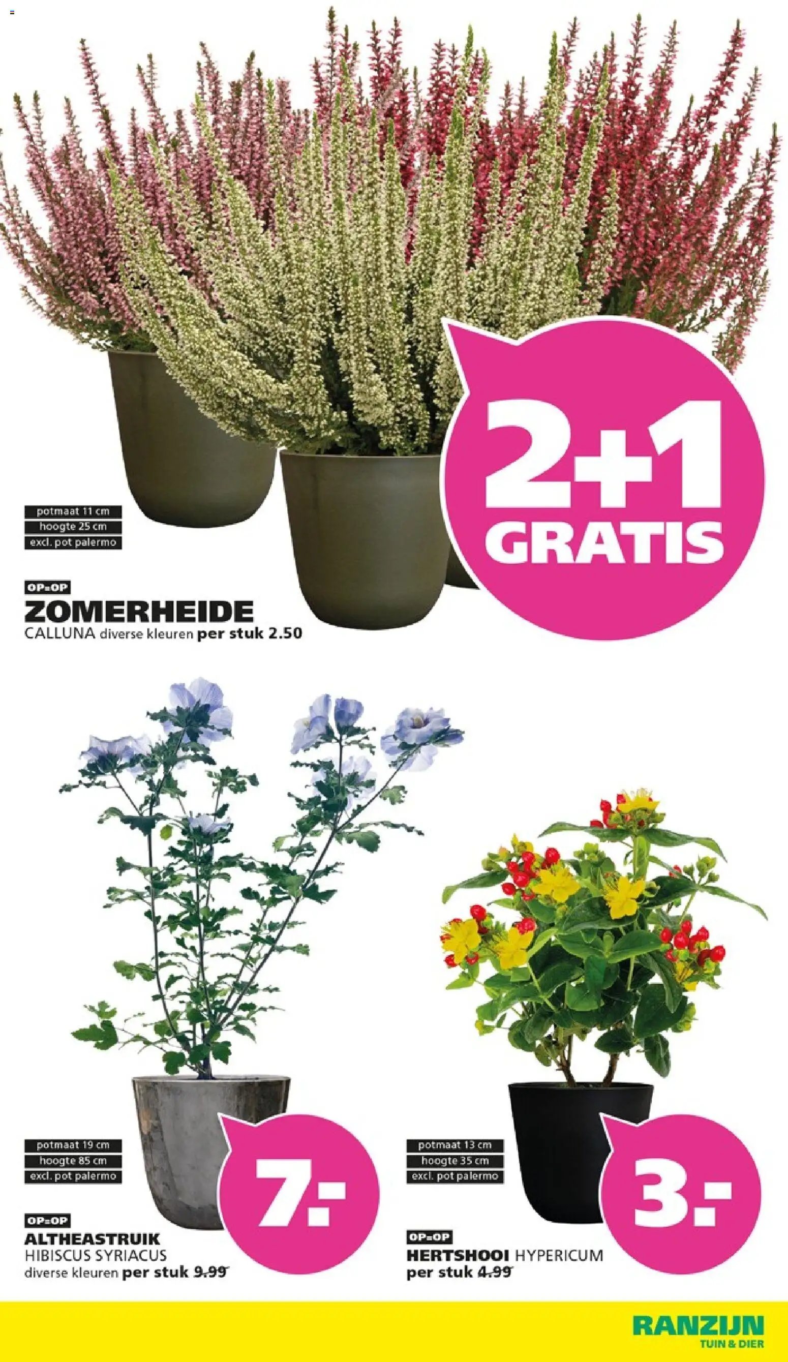 Ranzijn folder