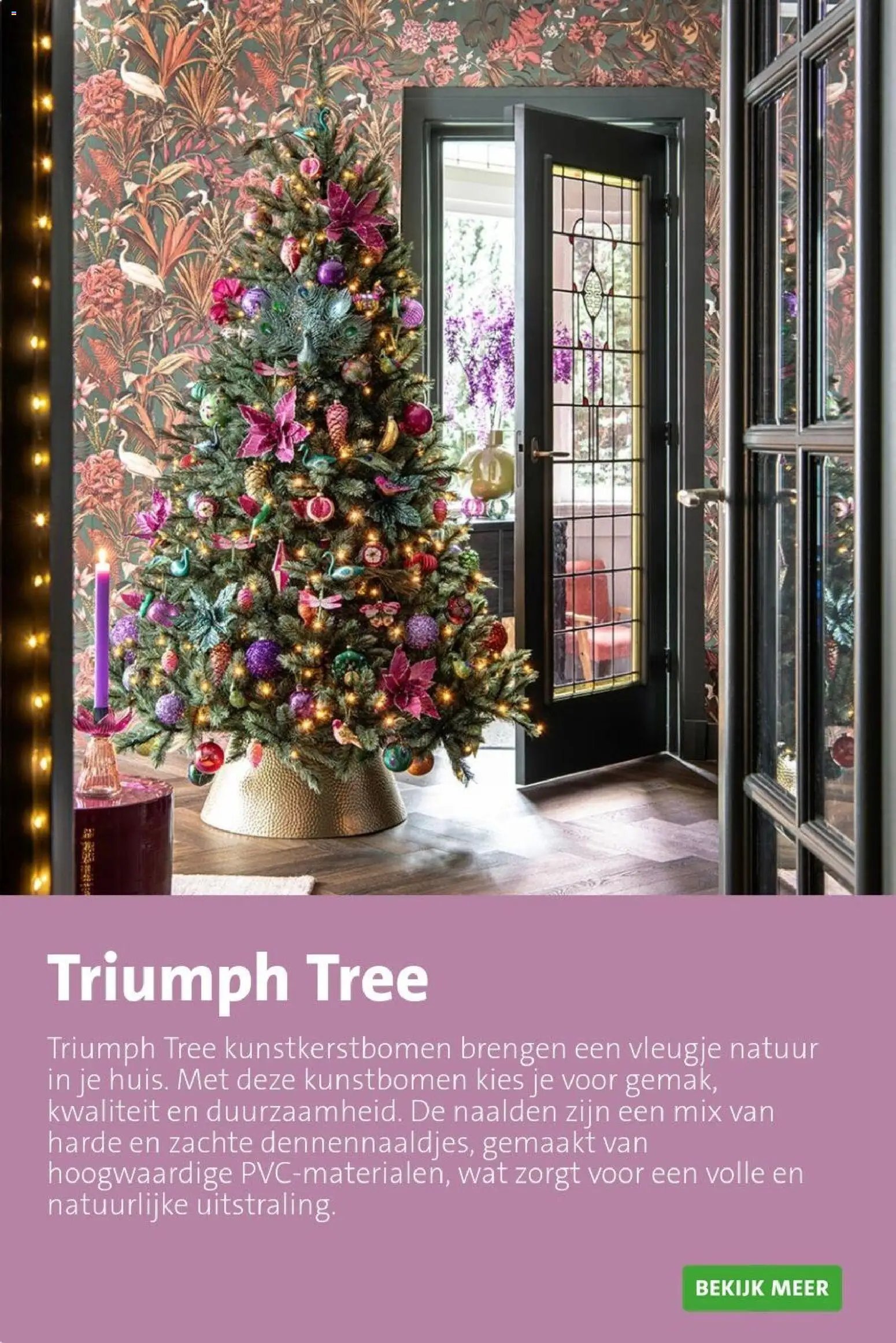 Intratuin folder Kerst bomen