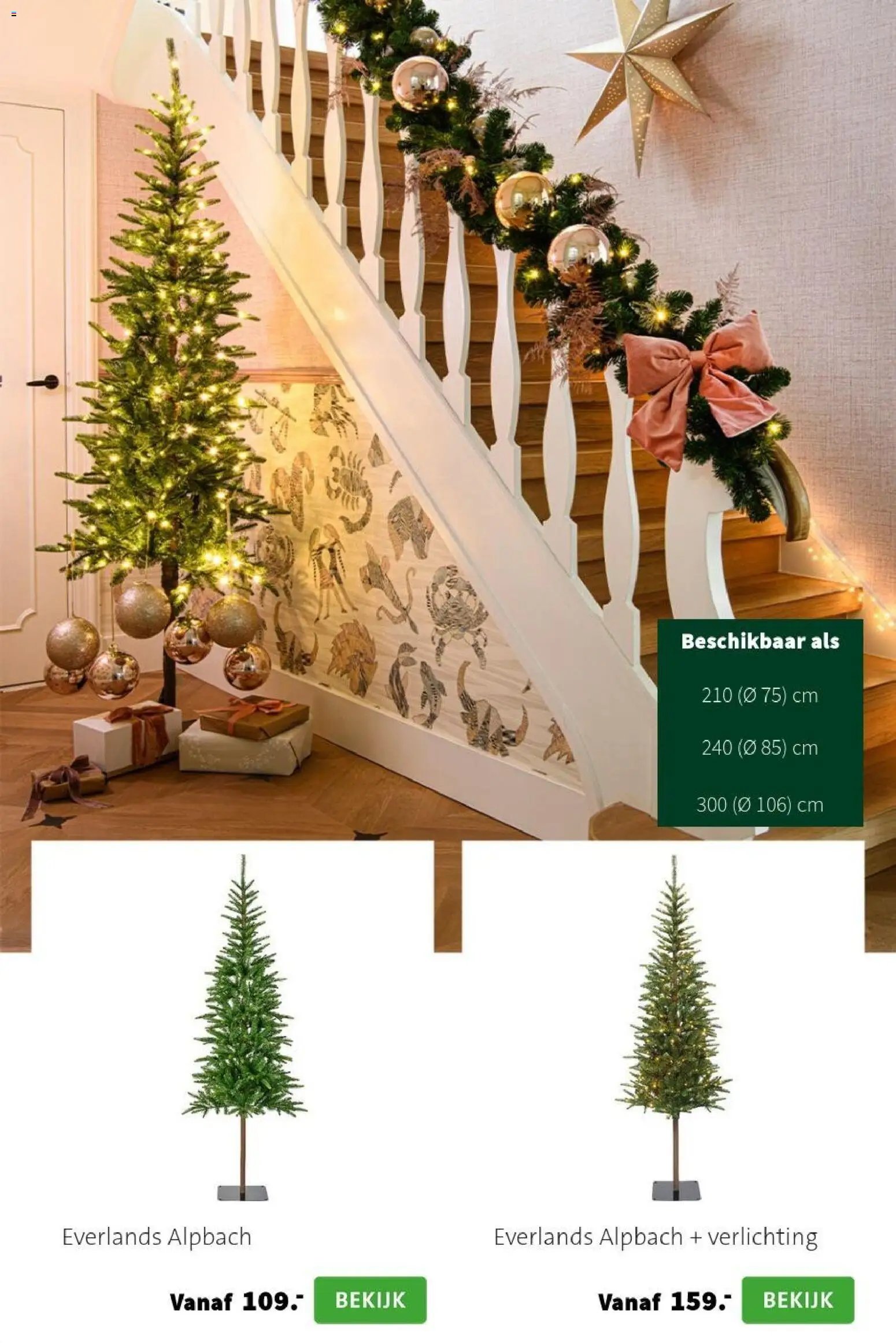 Intratuin folder Kerst bomen