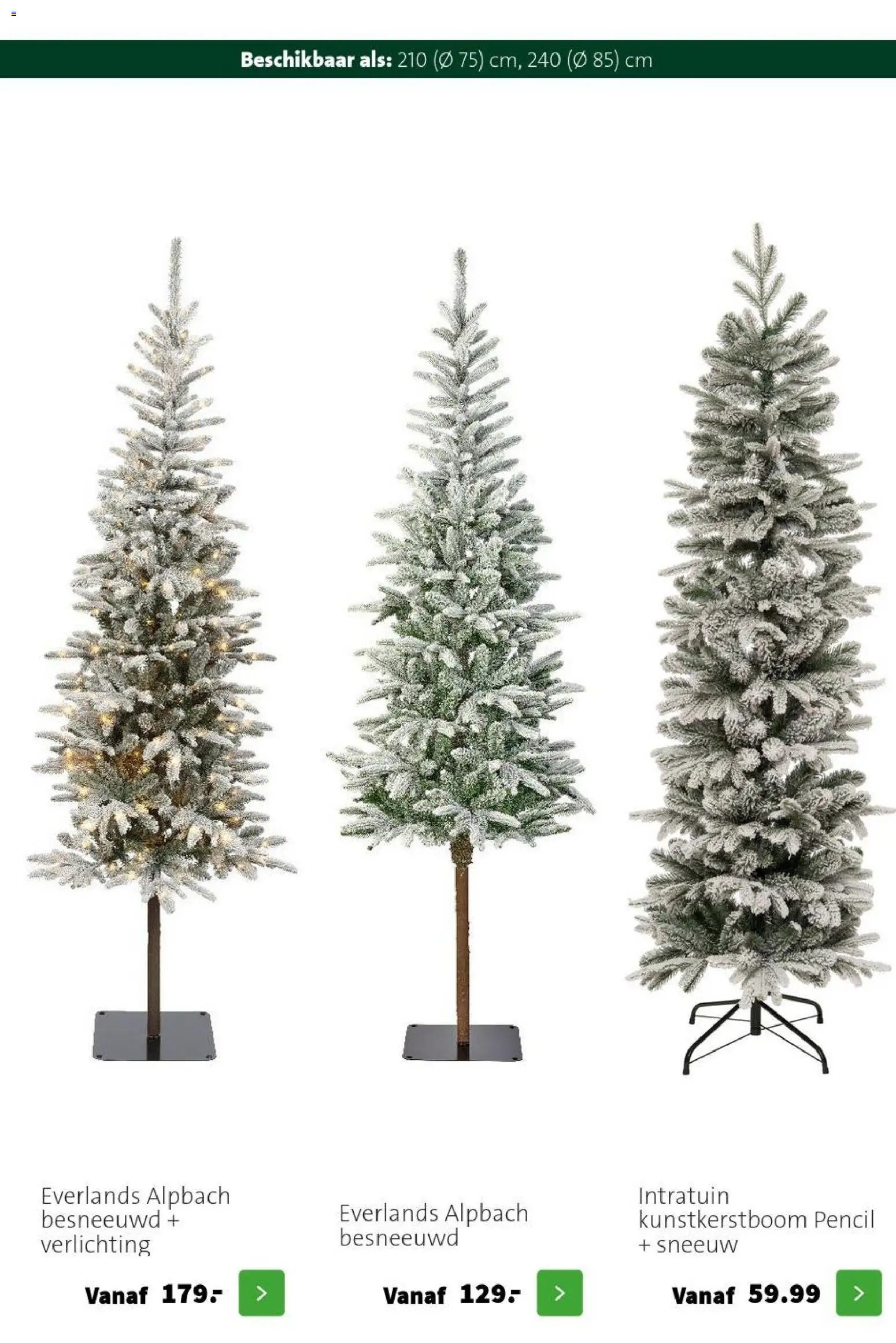 Intratuin folder Kerst bomen