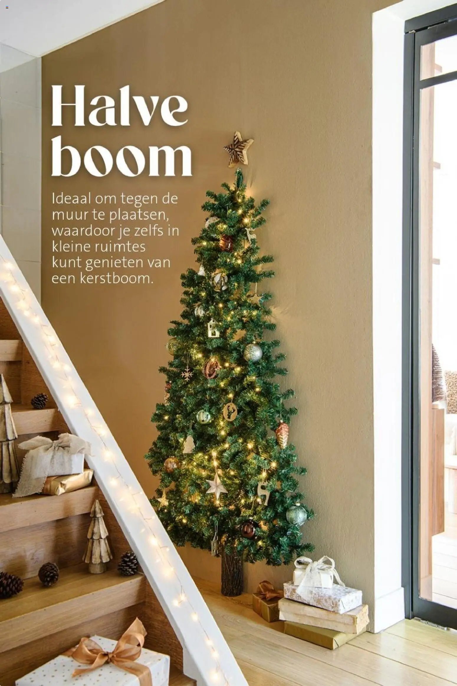Intratuin folder Kerst bomen