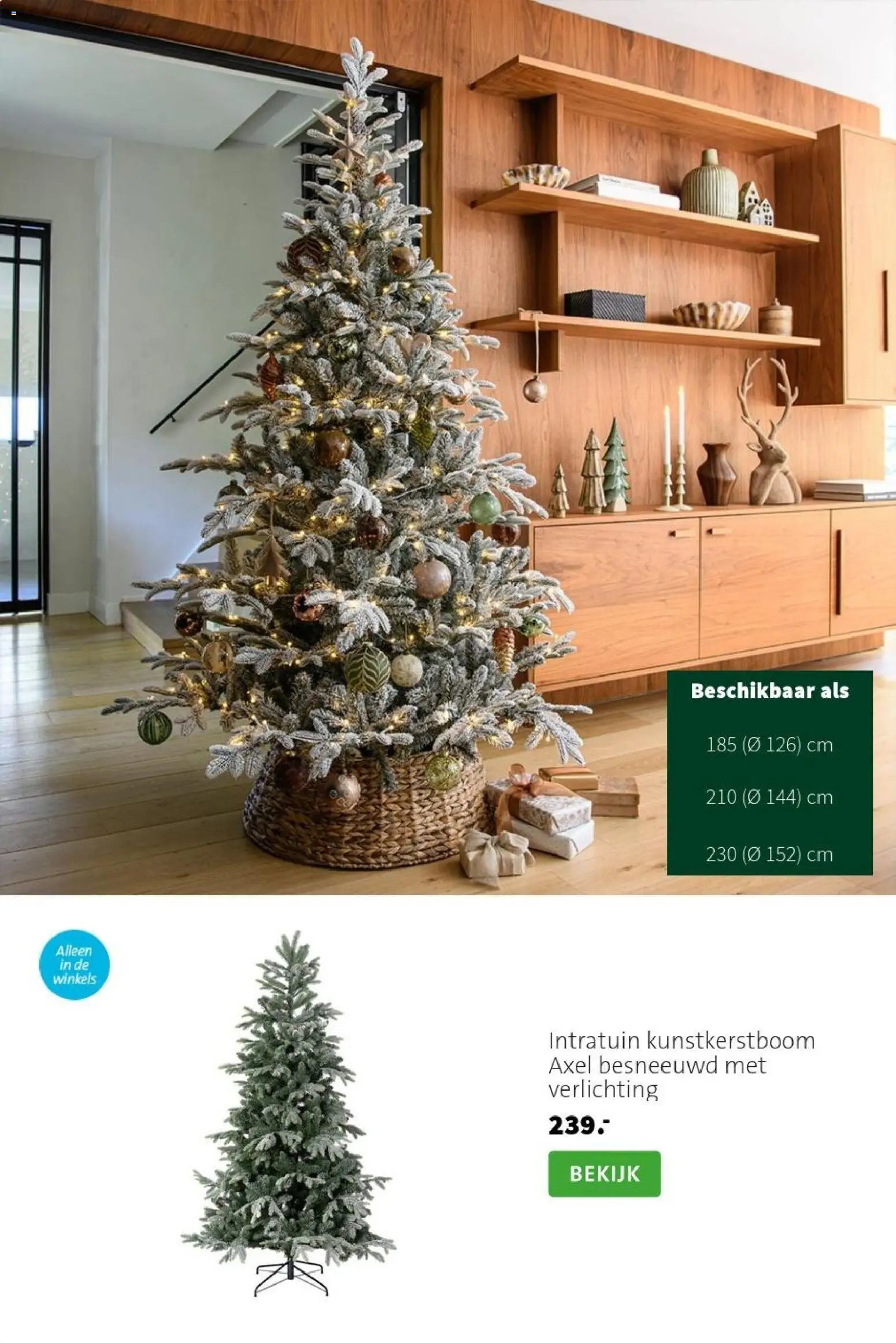 Intratuin folder Kerst bomen