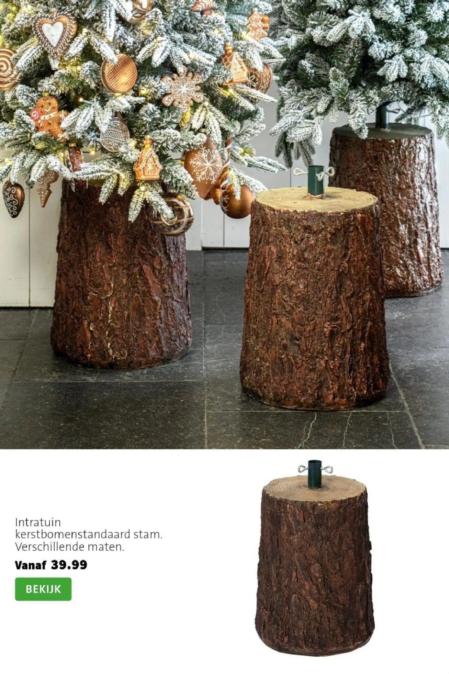Intratuin folder Kerst bomen
