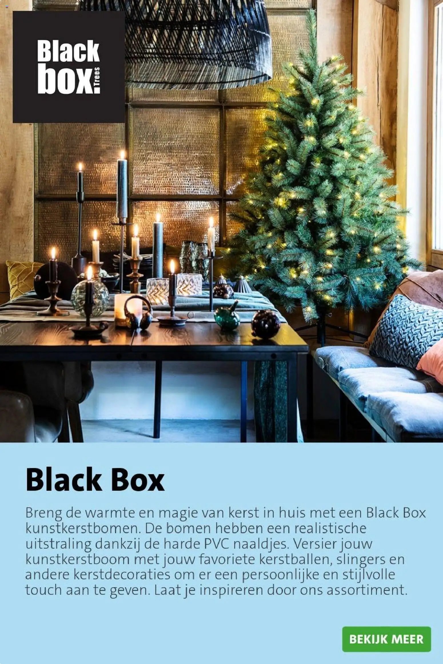 Intratuin folder Kerst bomen