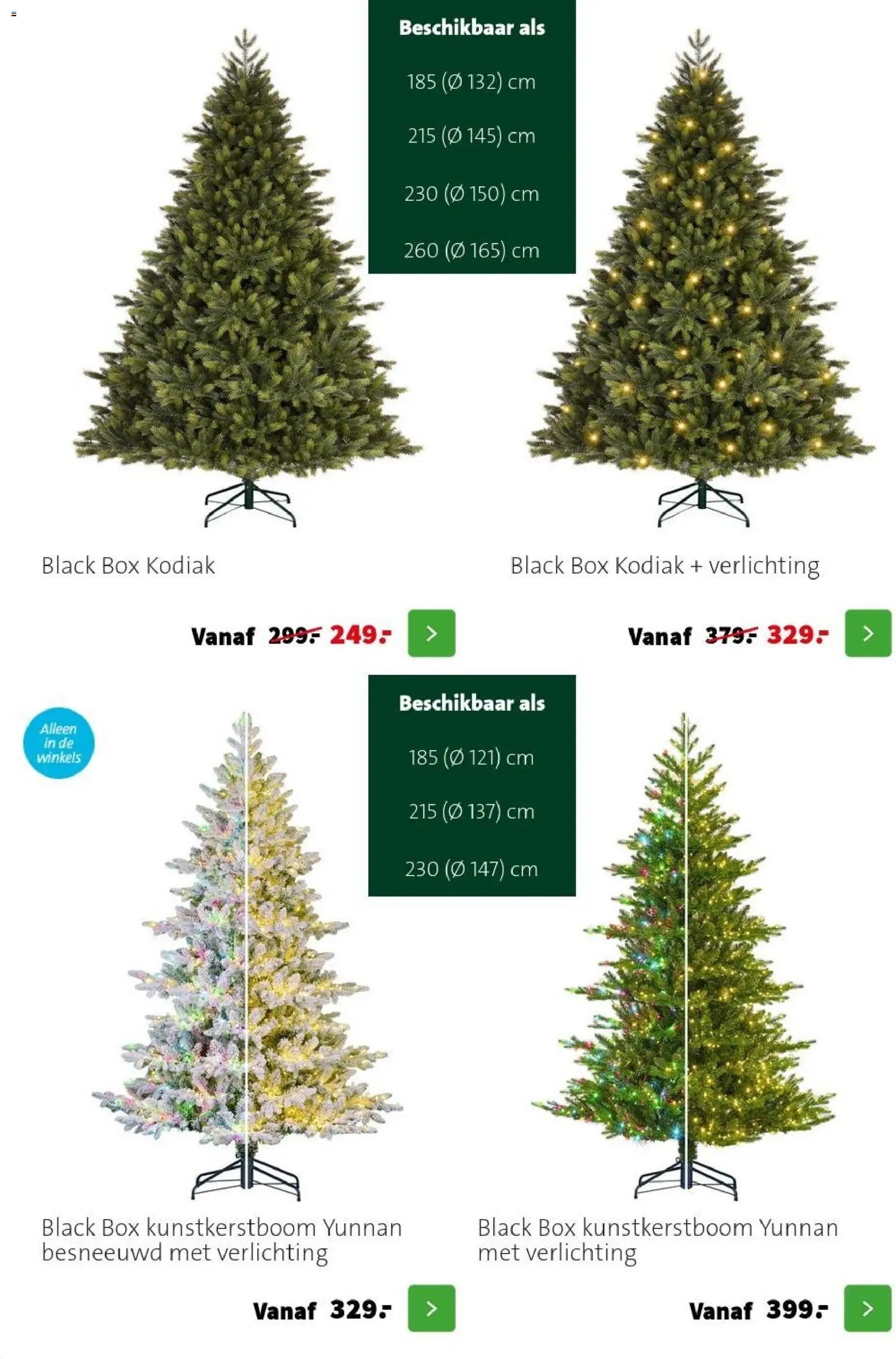 Intratuin folder Kerst bomen