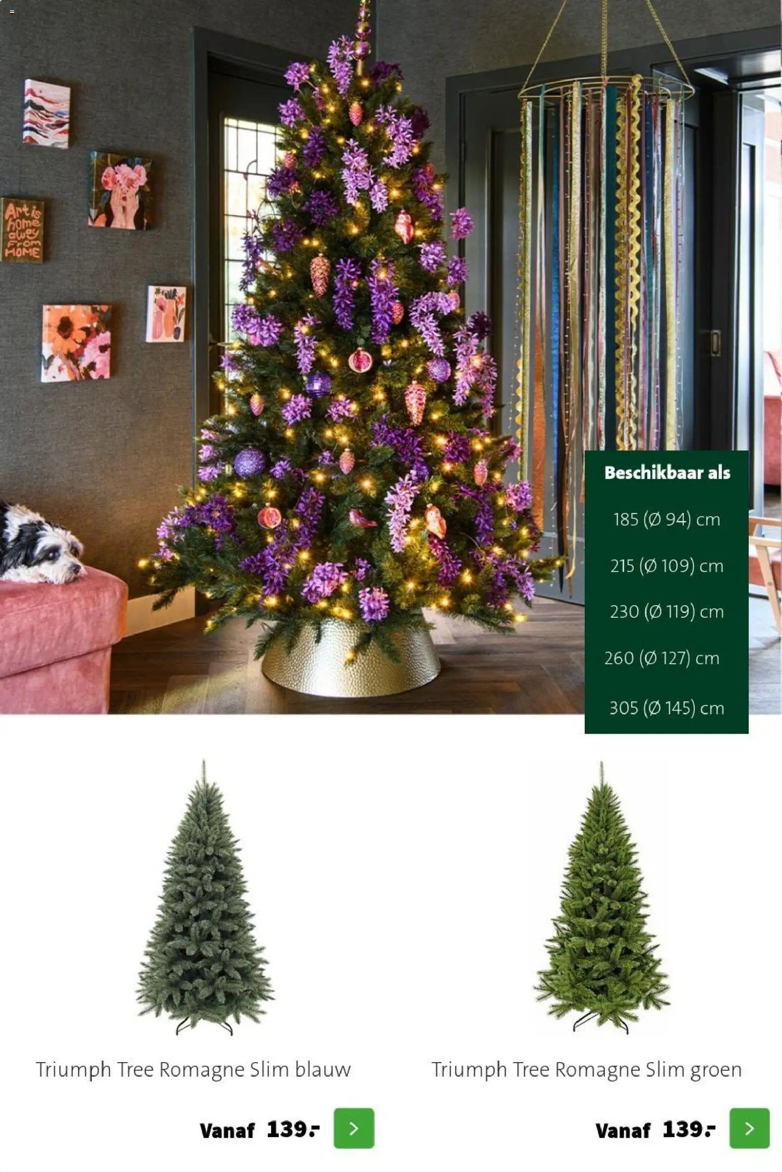 Intratuin folder Kerst bomen