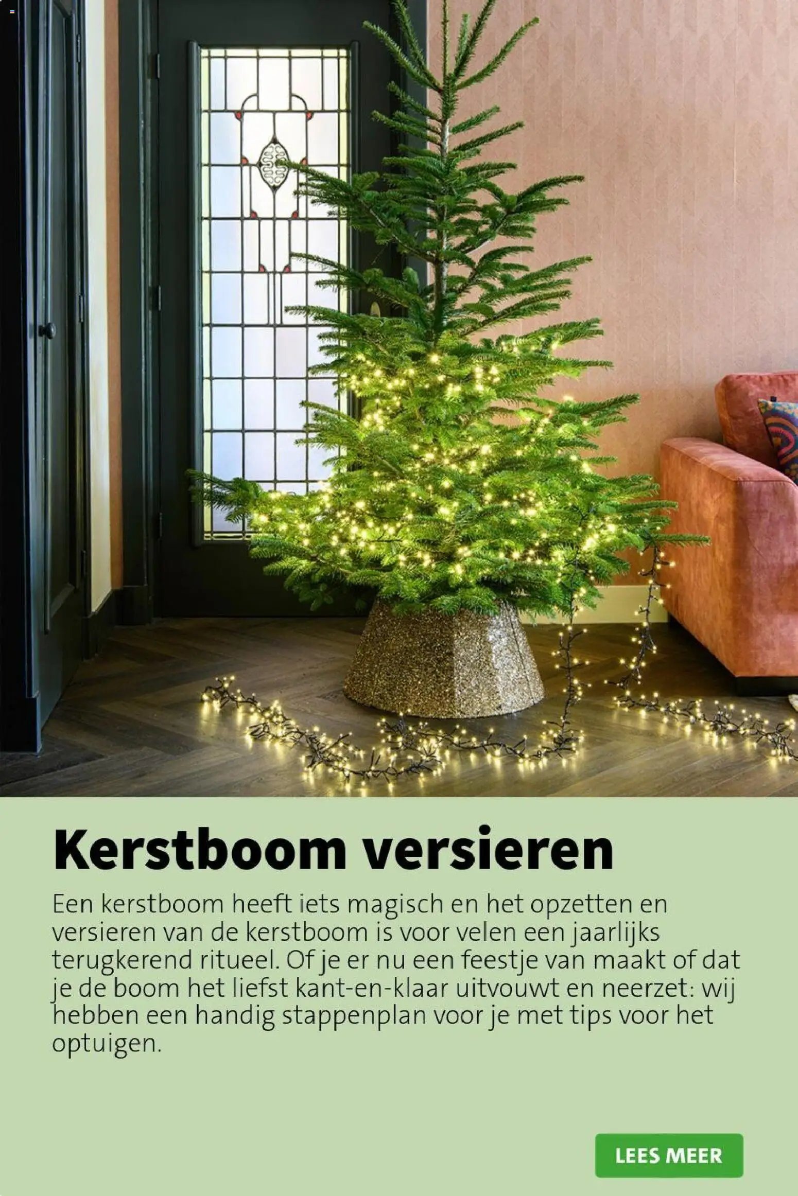 Intratuin folder Kerst bomen