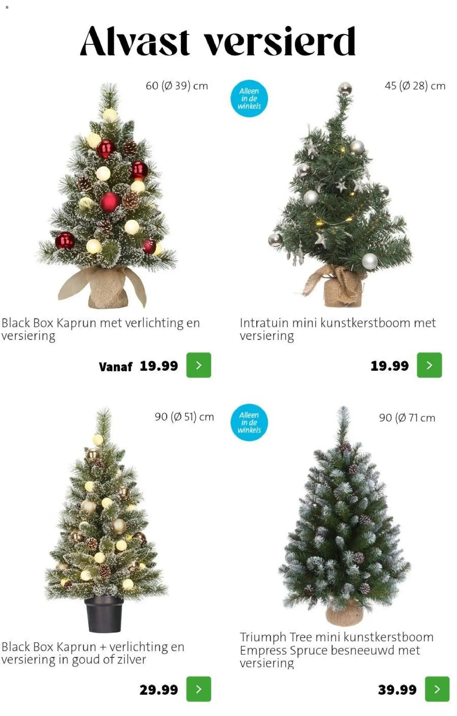 Intratuin folder Kerst bomen