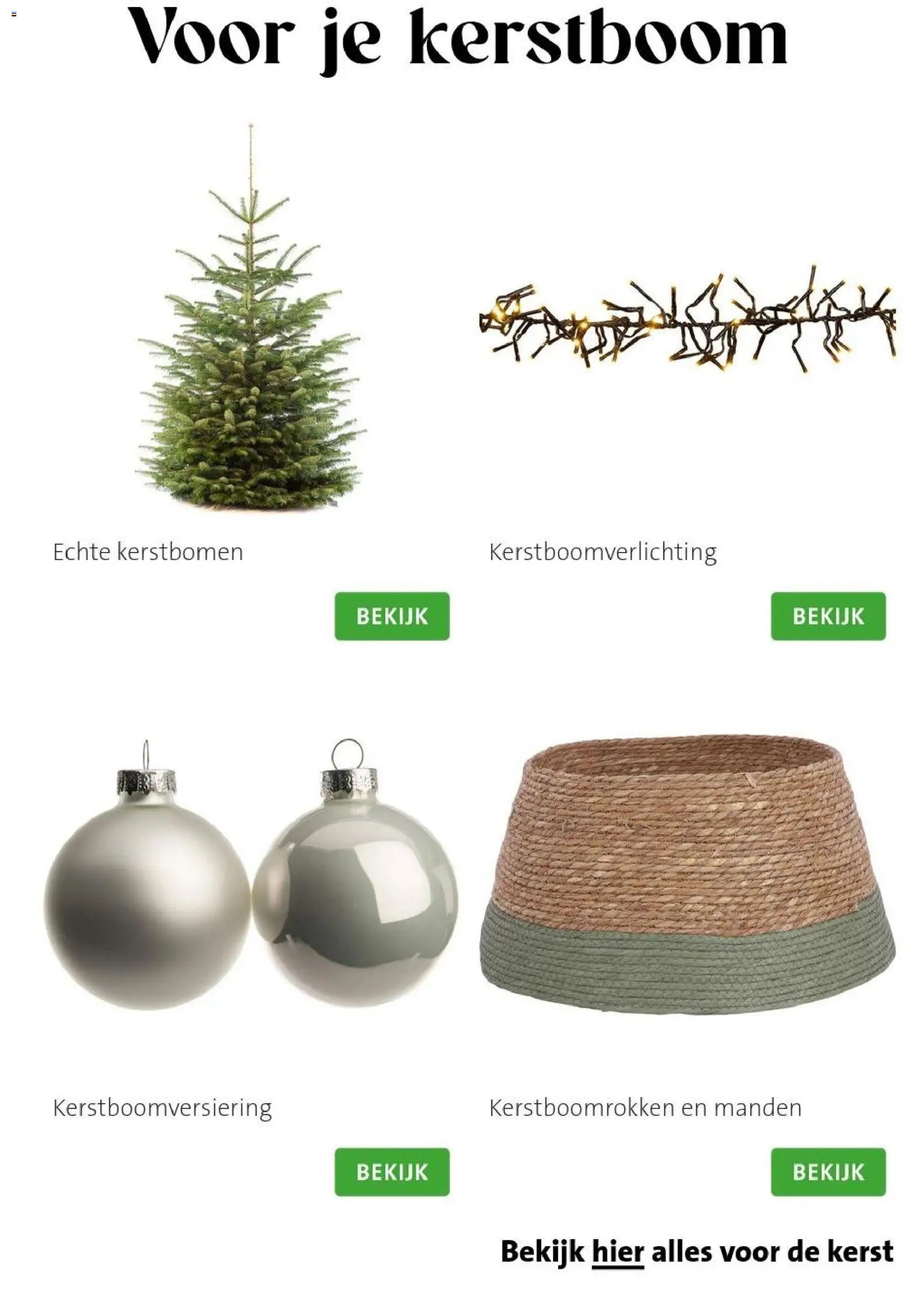 Intratuin folder Kerst bomen